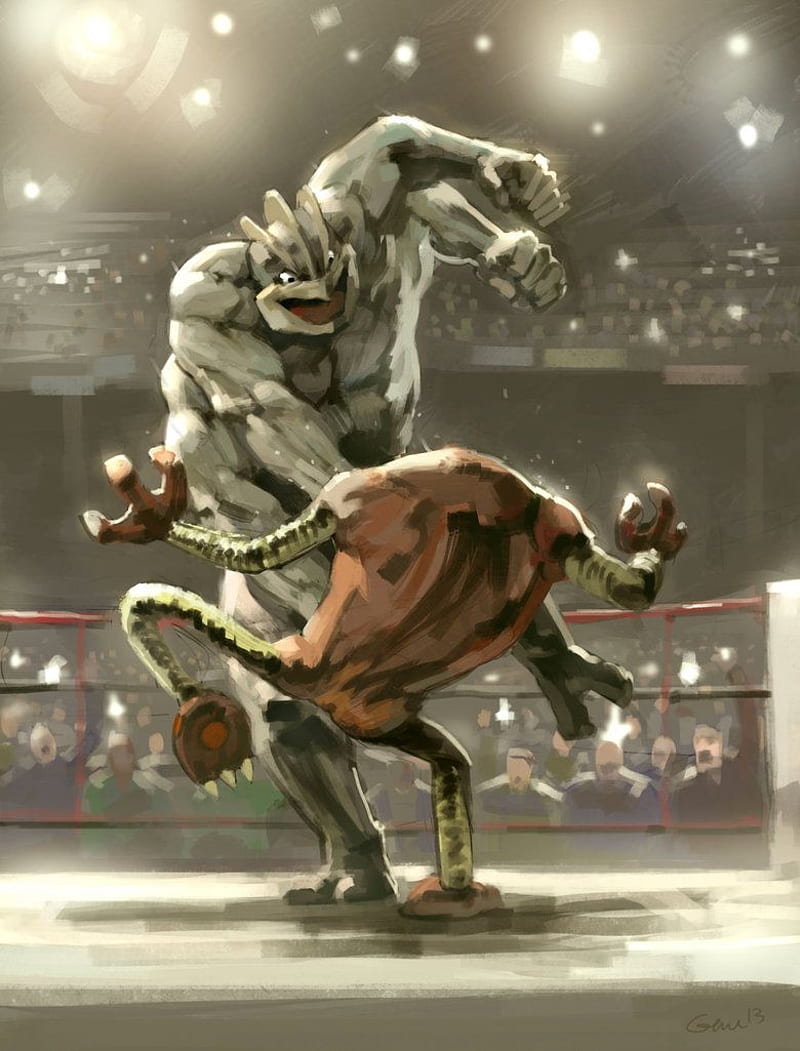 800x1051 Machamp vs Hitmonlee. Fighting pokÃ©mon, Pokemon, Cool pokemon, HD phone wallpaper