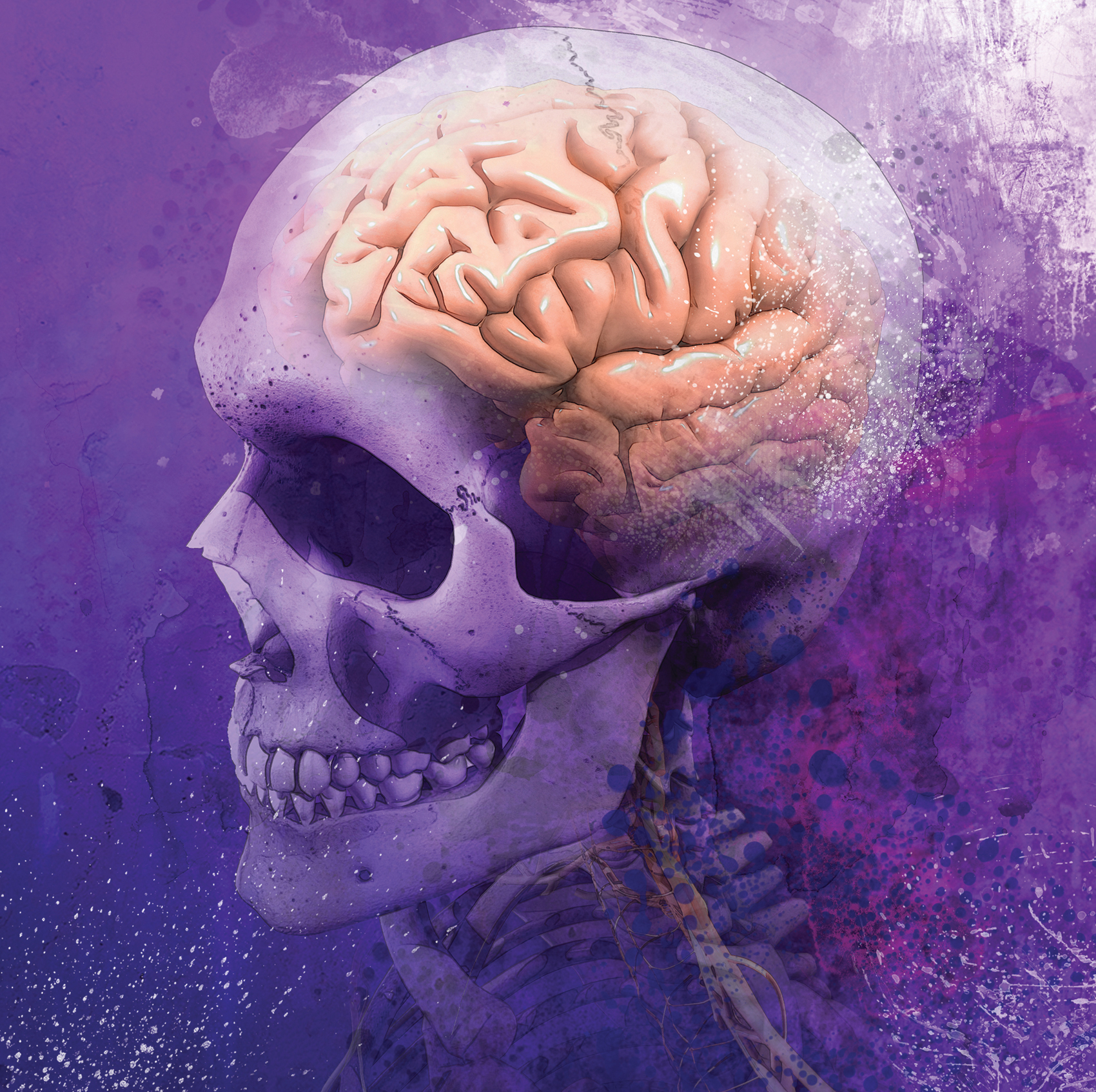 1700x1695 Medical Illustration Brain KYU Design