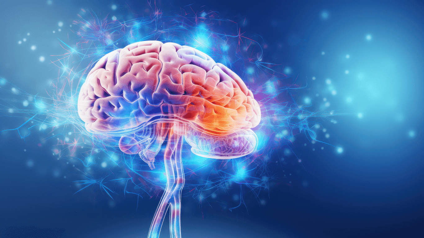 1366x768 Neurological Preclinical Studies in Medical Devices