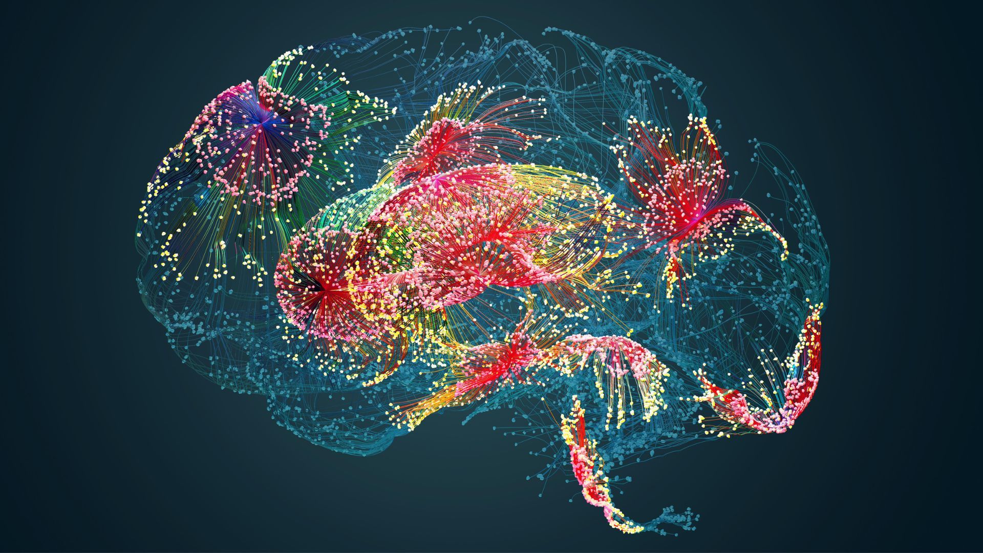 1920x1080 Scientists discover new anatomic structure in the brain that monitors and shields cells