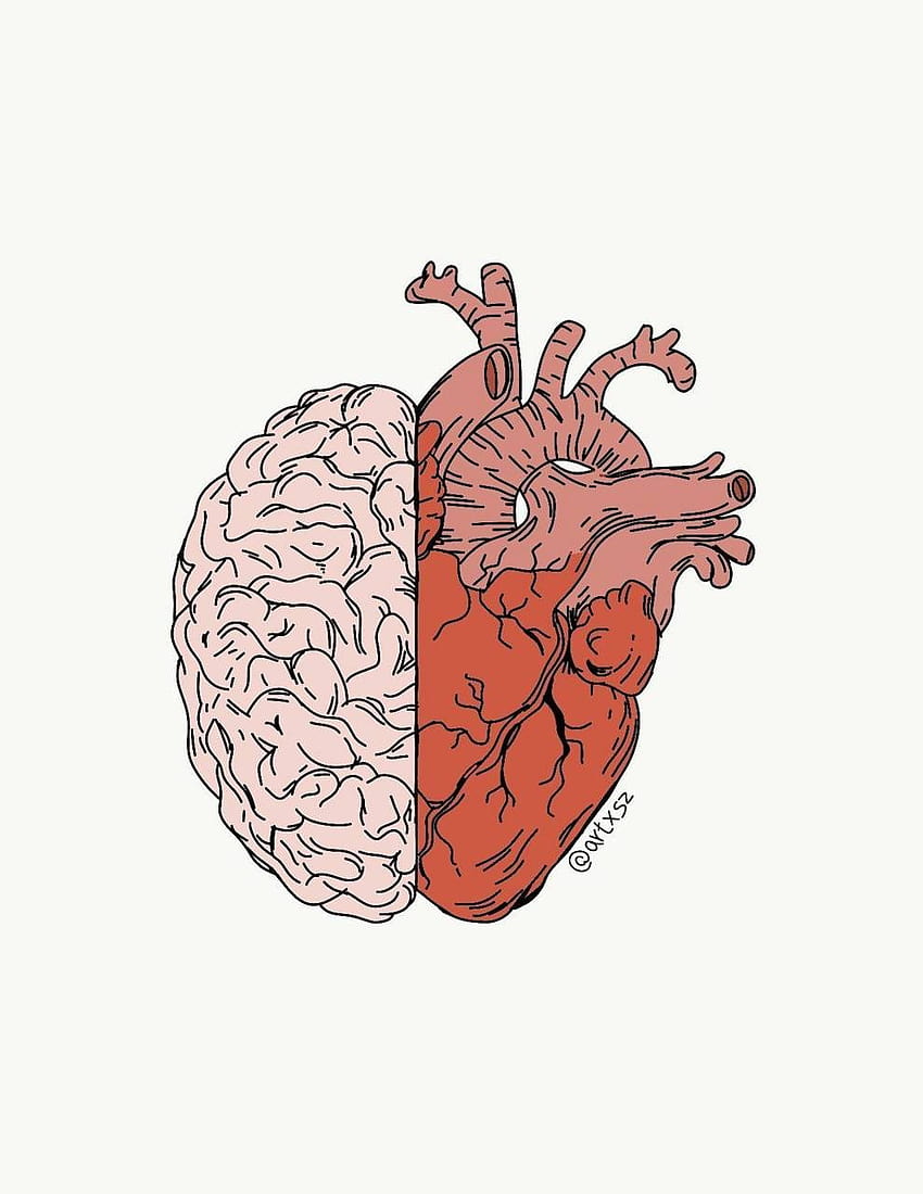850x1100 Brain and Heart, medical heart HD phone wallpaper