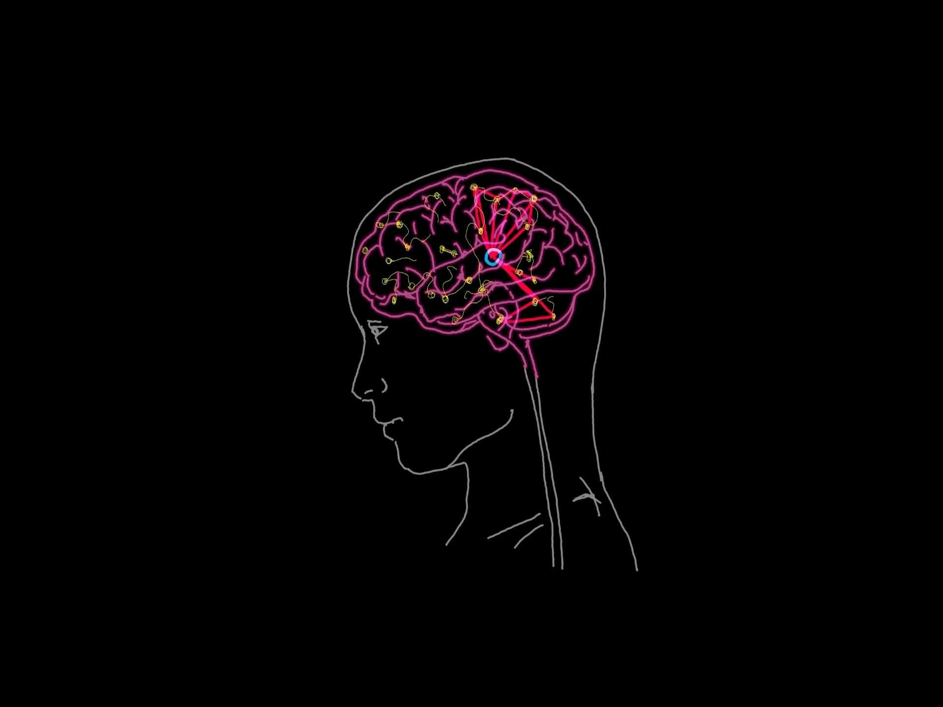 1920x1440 A Brain With A Pink Glow In The Dark Background Free Stock Video Footage, Royalty Free 4K & HD Video Clip