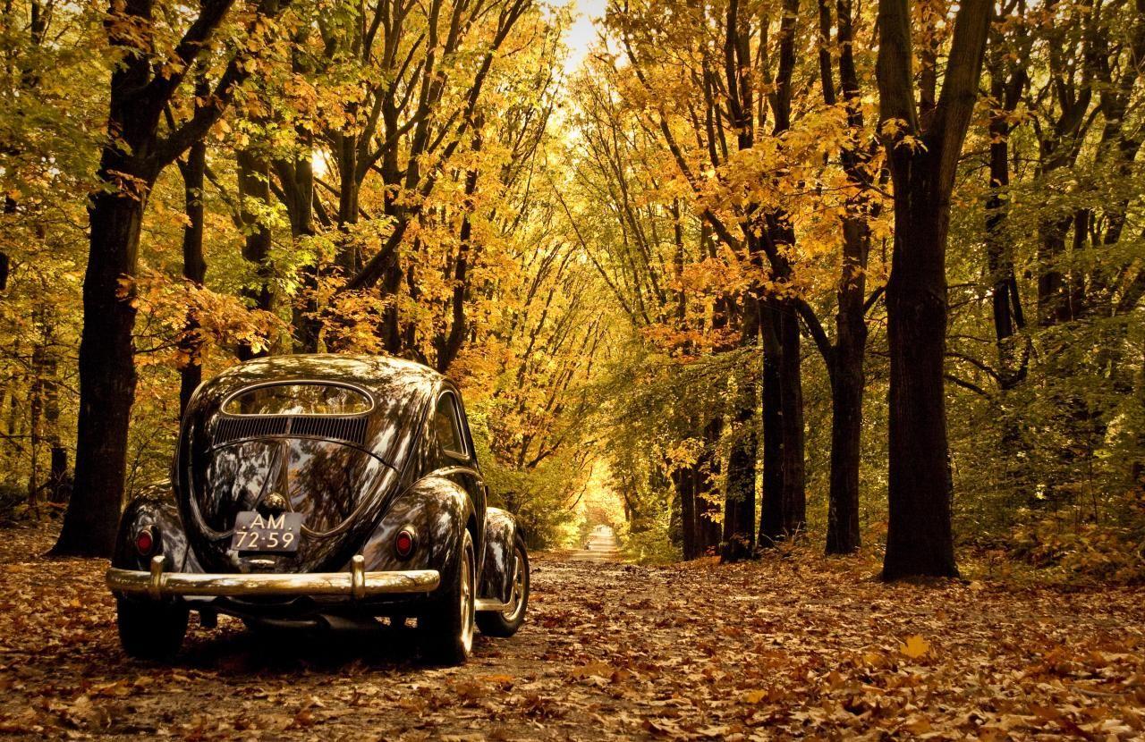 1280x830 Vw Beetle Wallpaper
