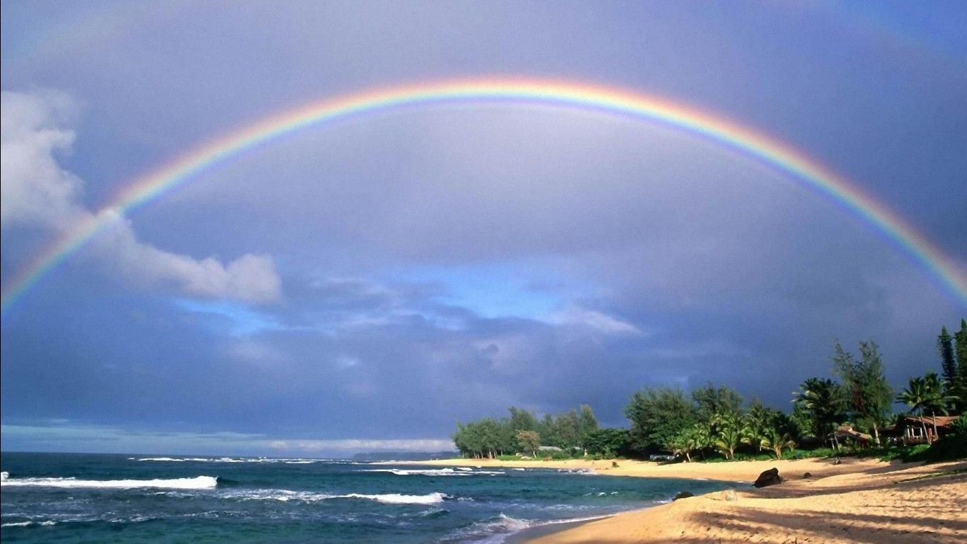 1366x768 Trees On Beach Sand With Rainbow Above A Beach HD Rainbow Wallpaper