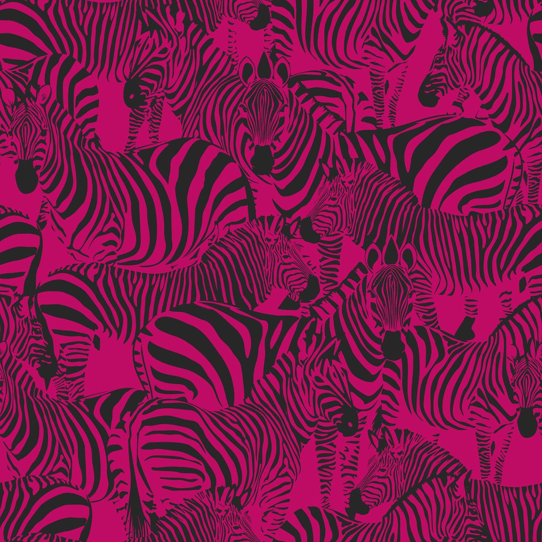 1800x1800 Origin Jemima Pink Zebra Wallpaper at