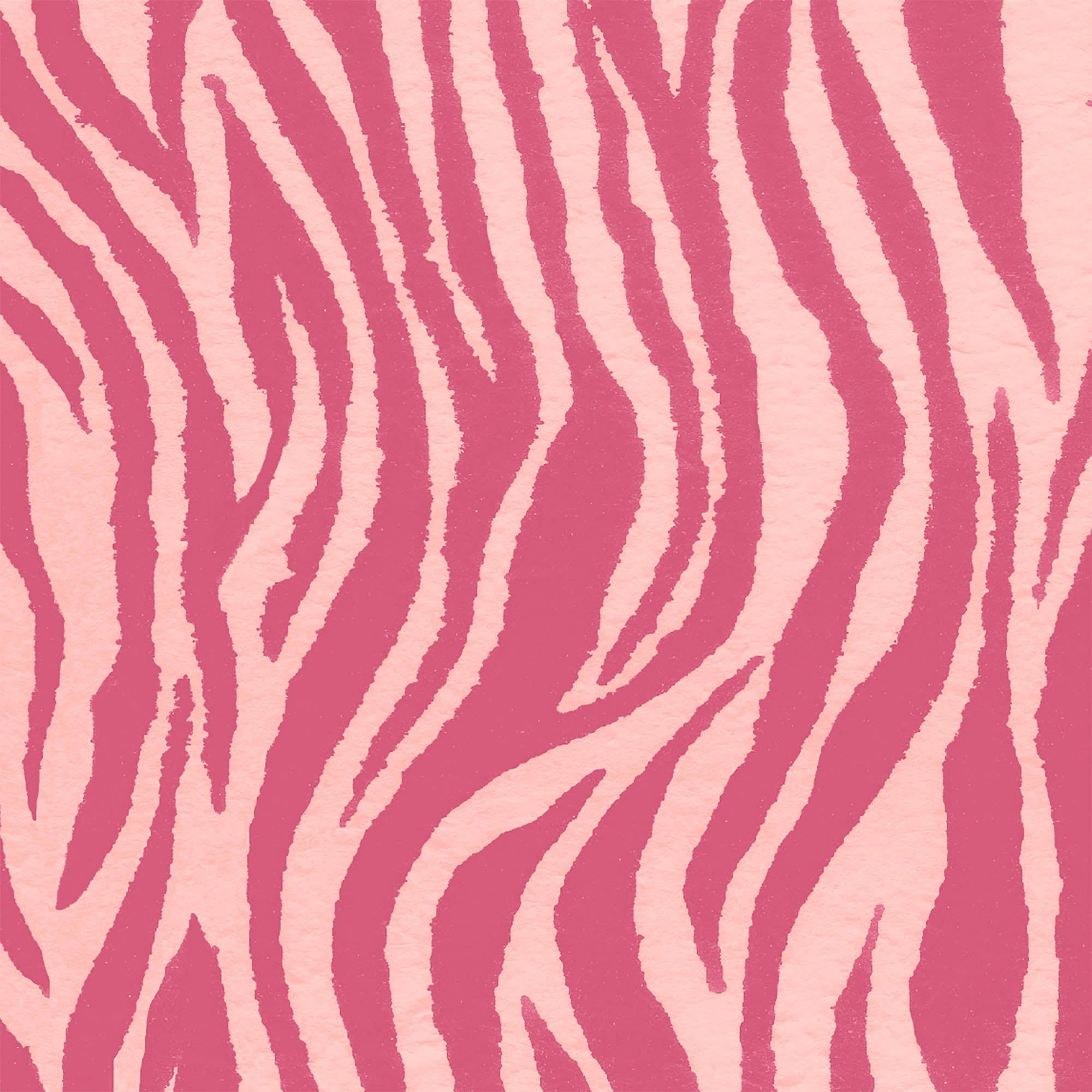 2000x2000 Pink Zebra Print Wallpaper