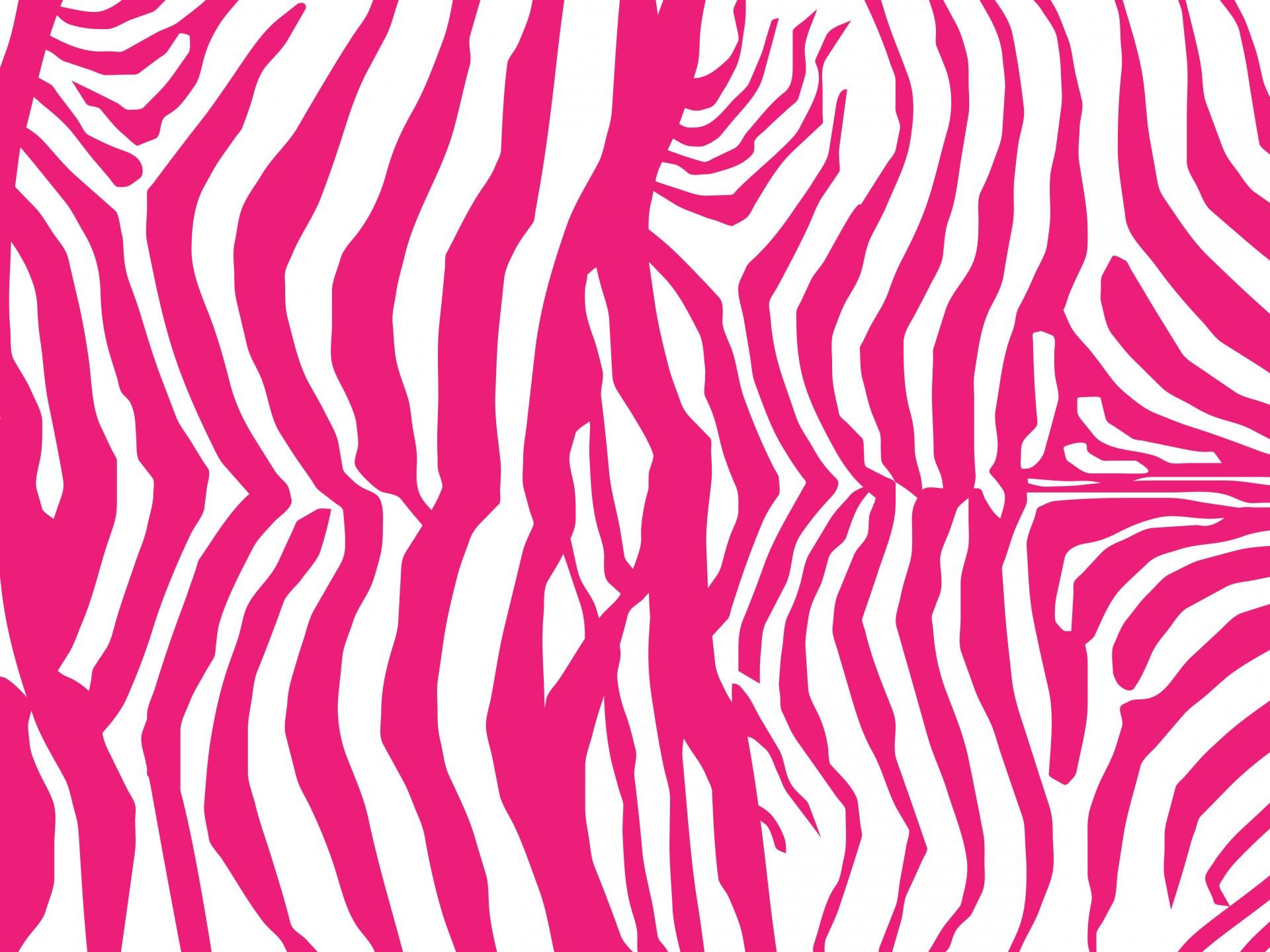 1920x1440 Download free photo of Zebra, skin, pattern, background, wallpaper