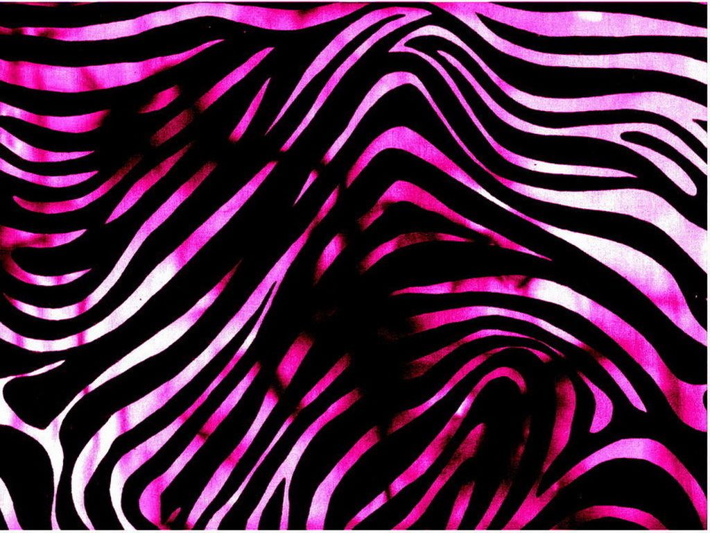 1024x768 Bold Pink Zebra Print Pattern Contrast Animal Design