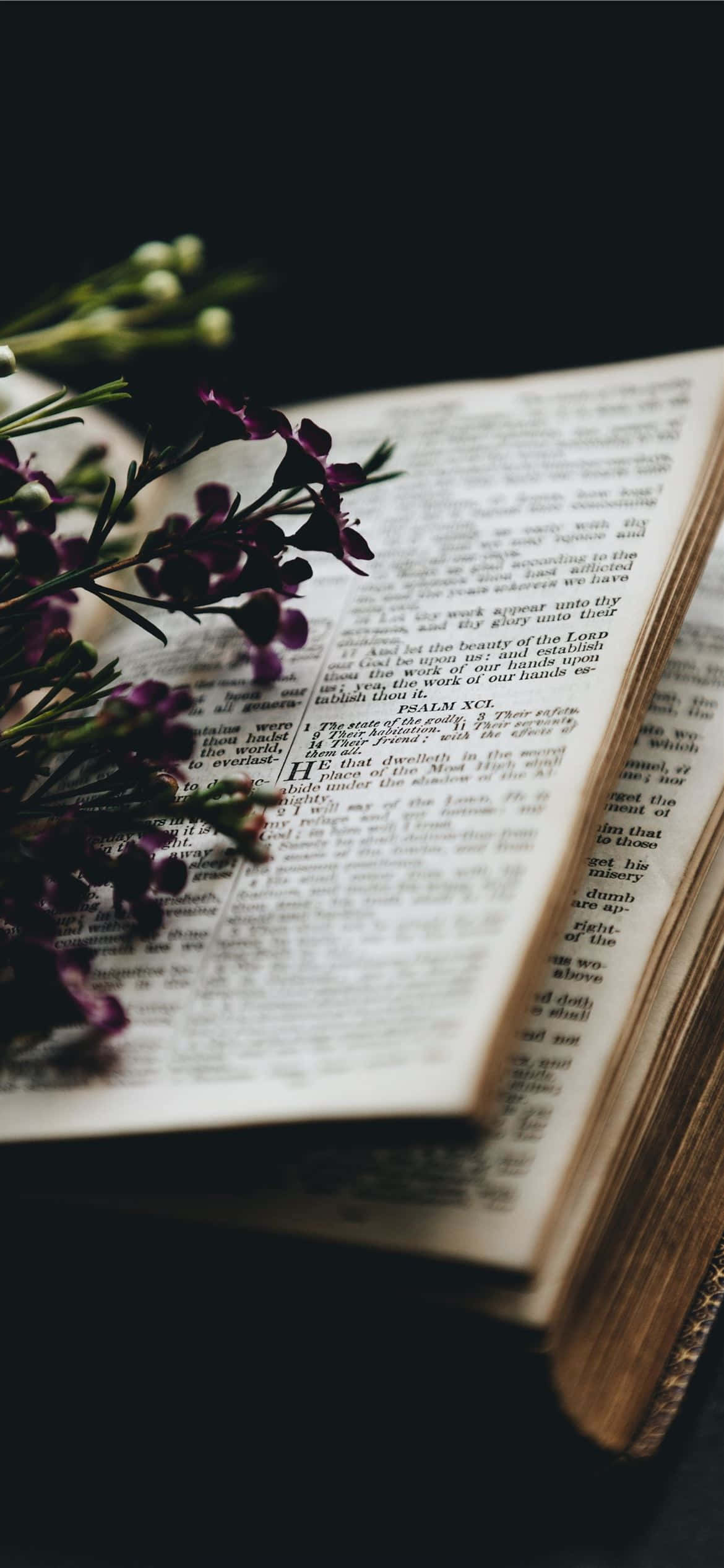 1170x2532 Download Inspirational Christian Literature On Coffee Table Wallpaper