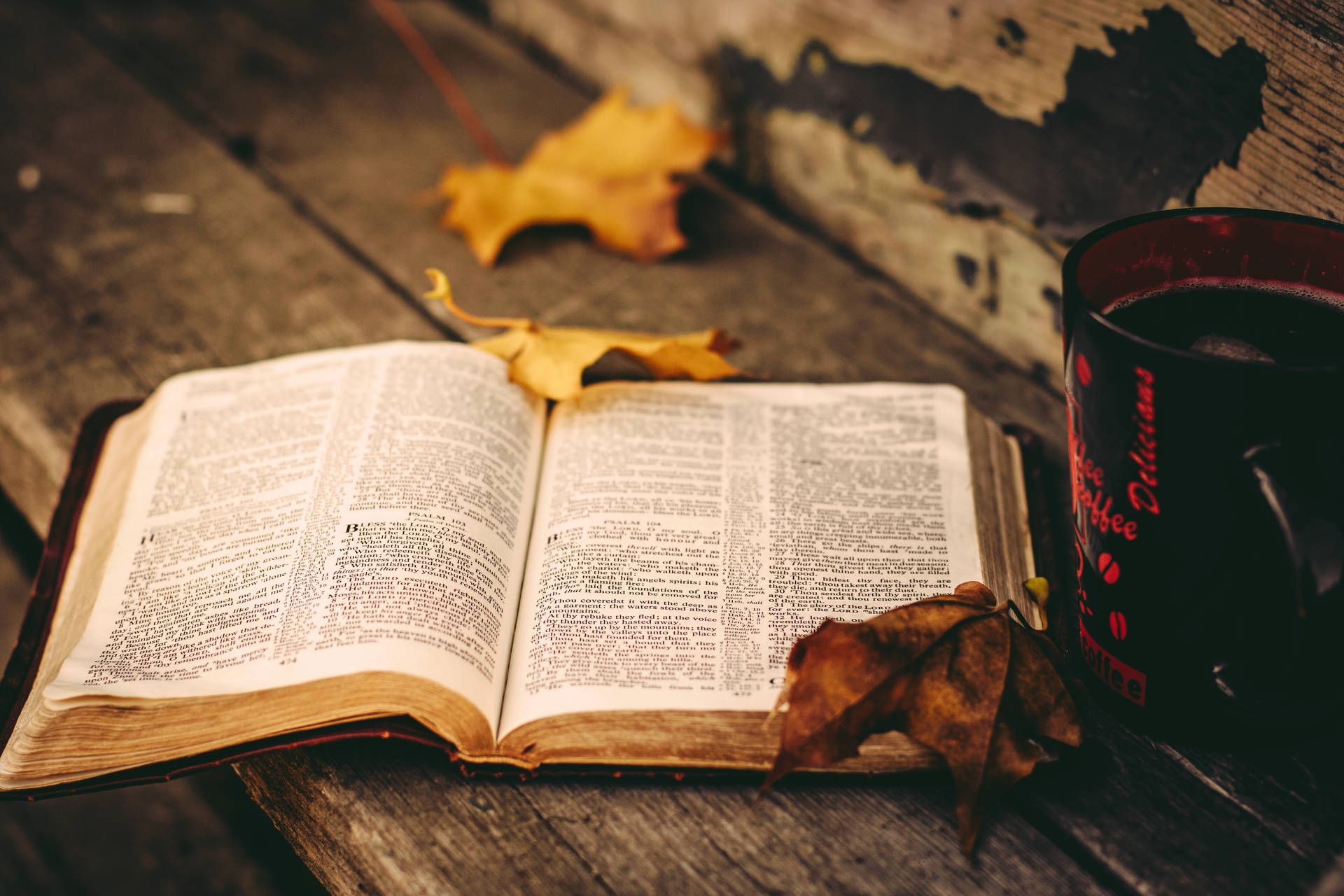 1920x1280 Download Opened Bible With Rustic Fall Leaves Wallpaper