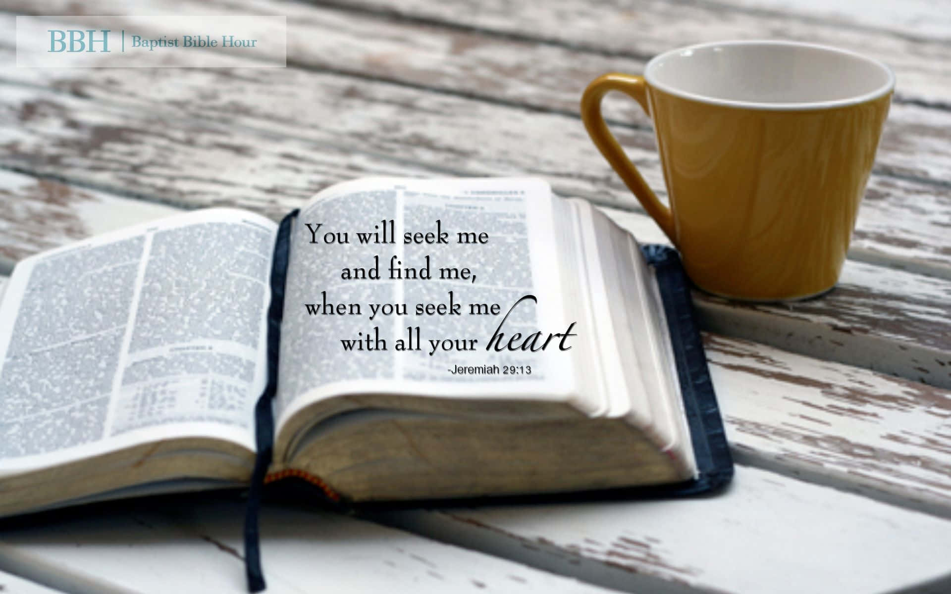 1920x1200 Download Engaging Bible Study Session at Warm Sunset Wallpaper