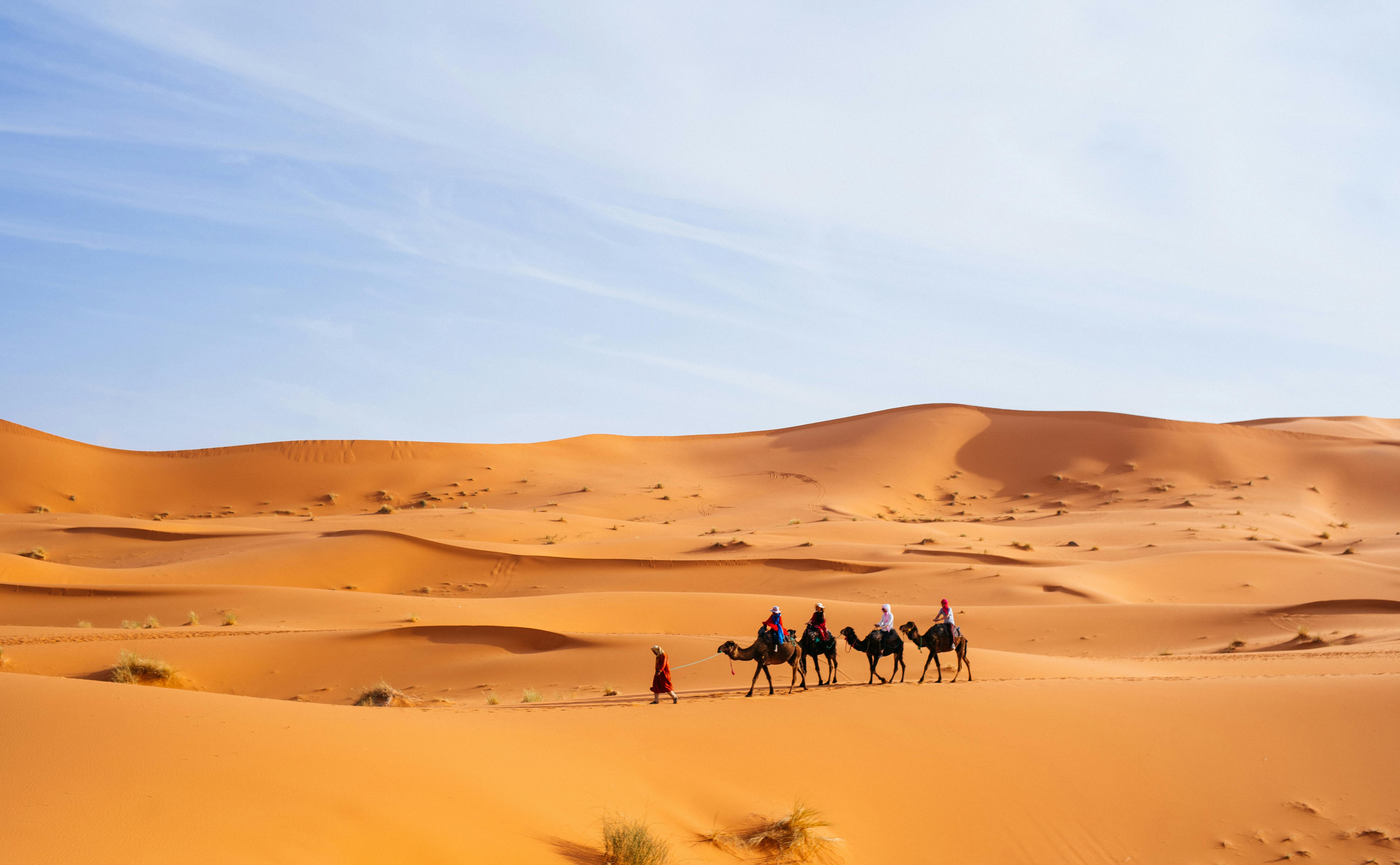 6000x3708 Exploring the Wonders of Pushkar Desert Safari