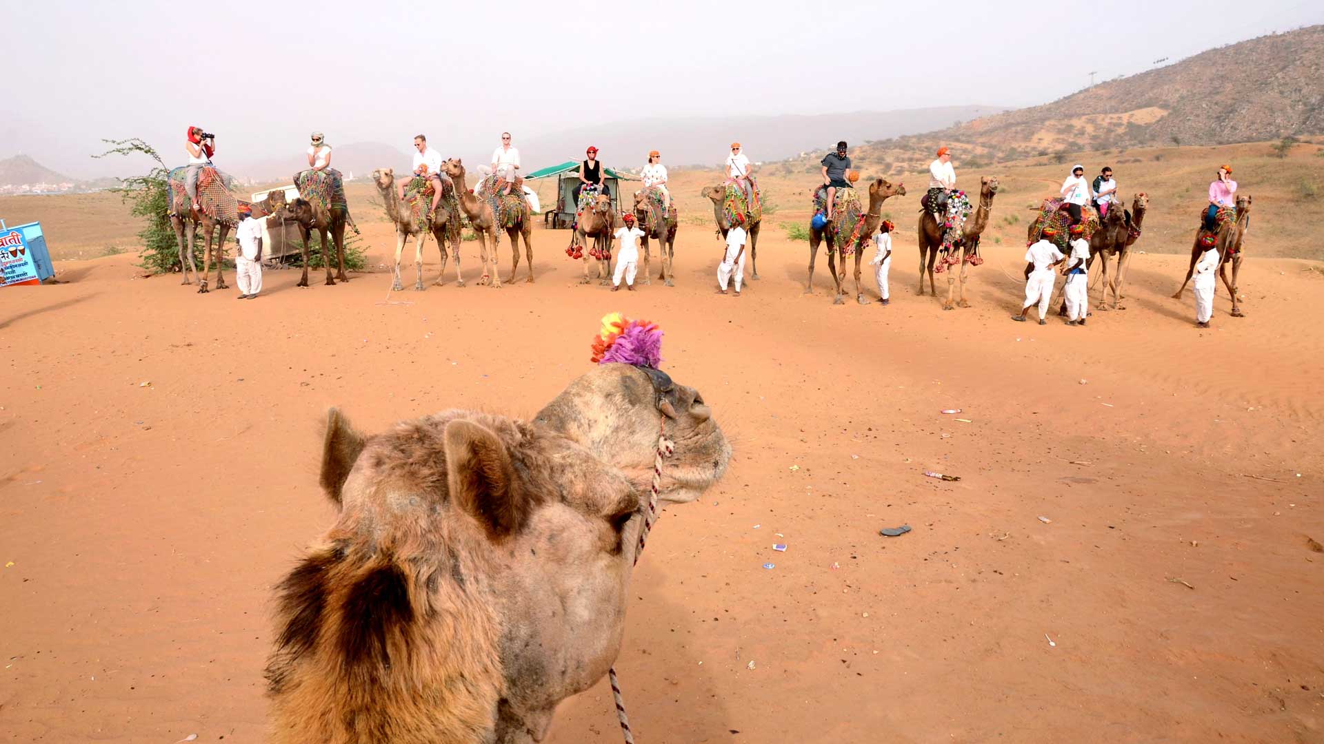 1920x1080 Pushkar Camel Safari