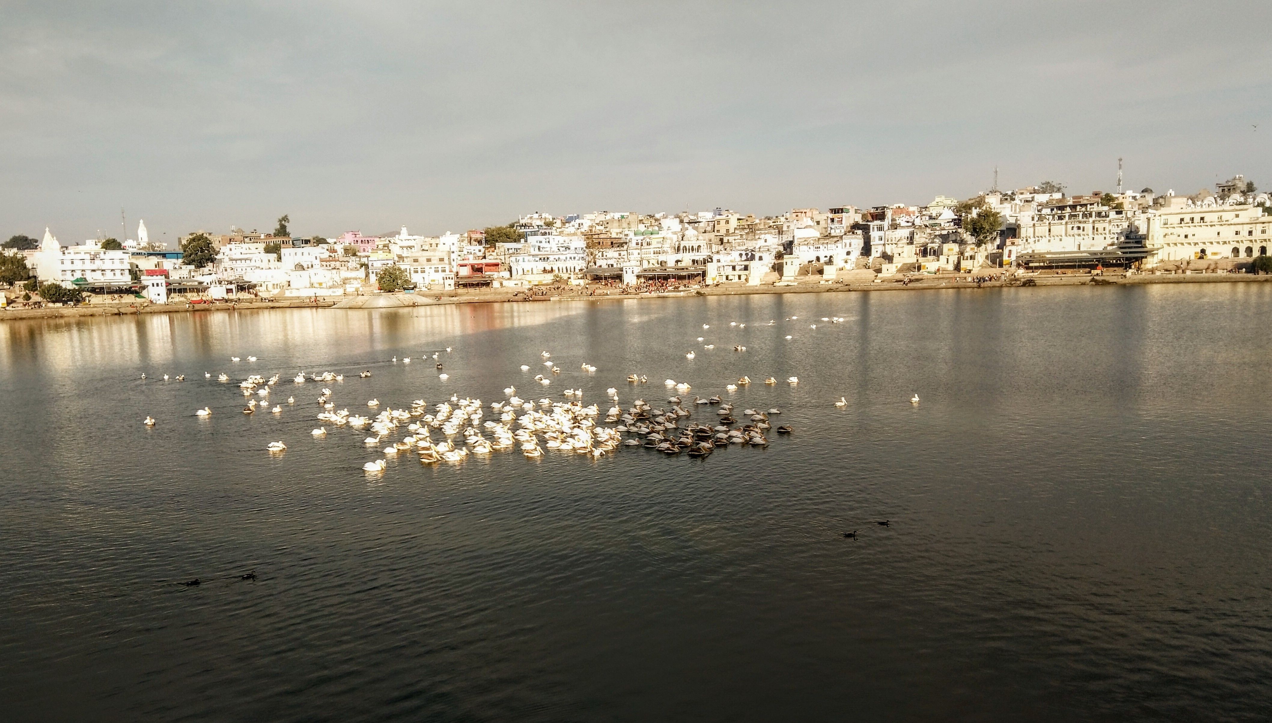 4234x2408 Temples at Pushkar