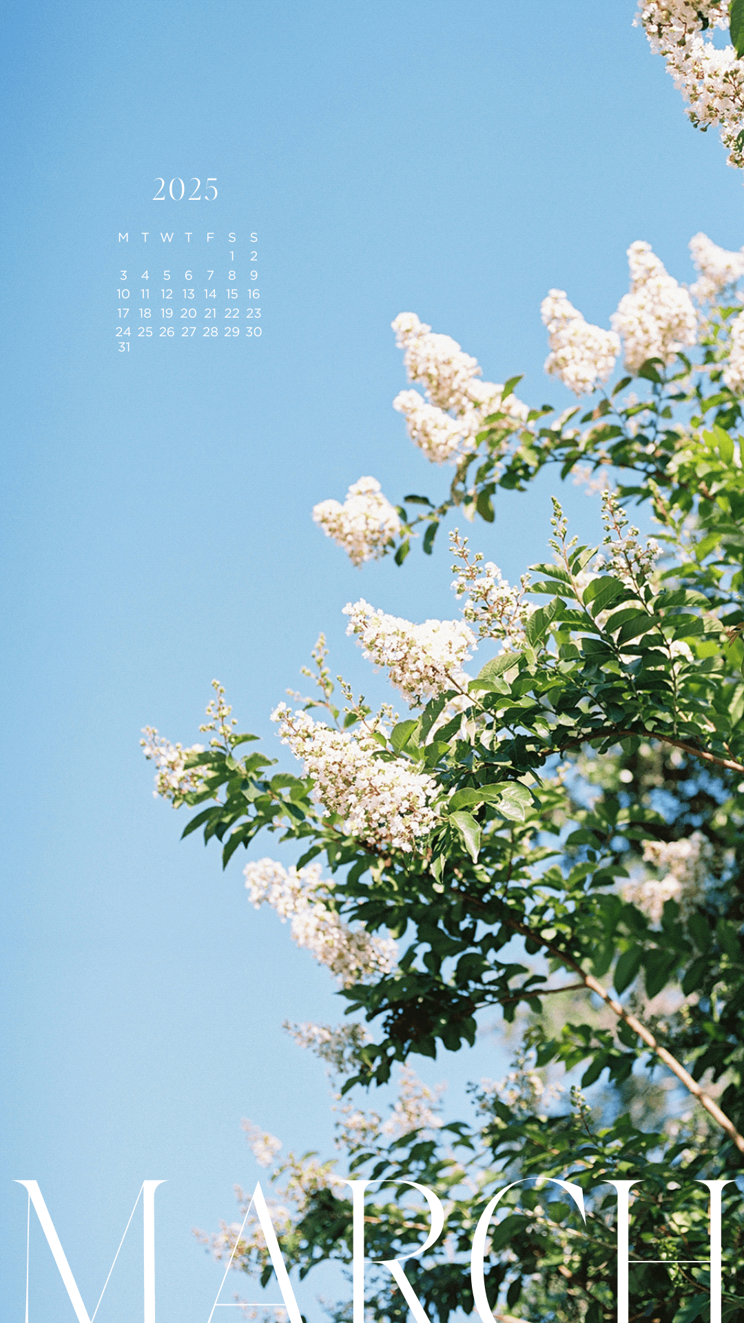 1080x1920 Spring Tech Background for your Computer and iPhone