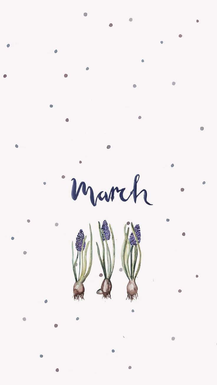 736x1309 March Aesthetic Wallpaper