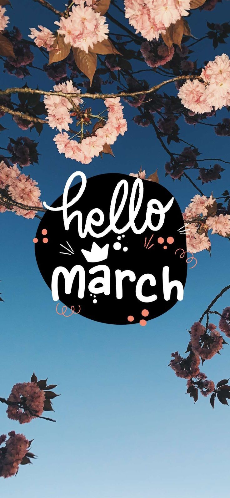 736x1592 Hello March Floral Aesthetic Wallpaper