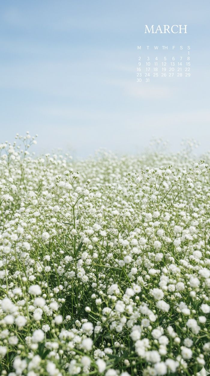700x1250 Baby's Breath March Calendar iPhone Wallpaper