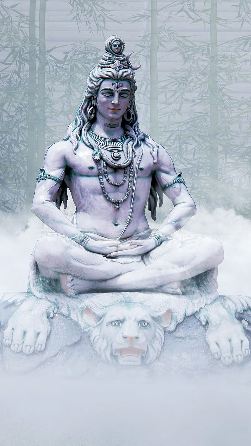 800x1422 HD bholae wallpaper