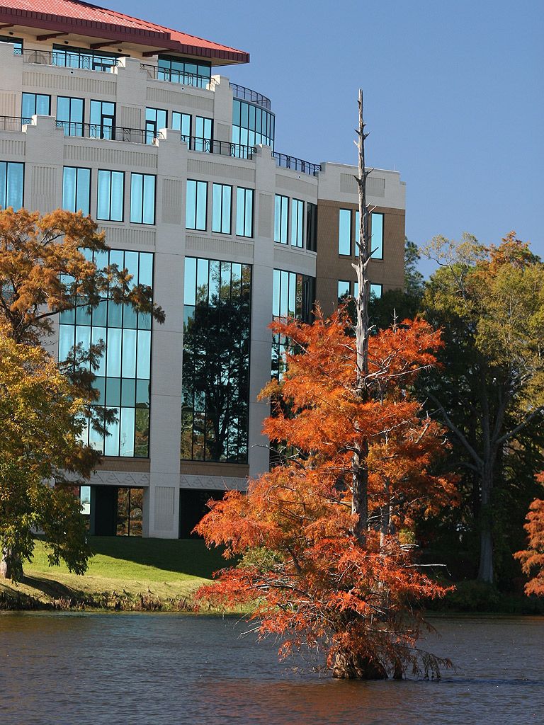 768x1024 Marketing and Communications. ULM University of Louisiana