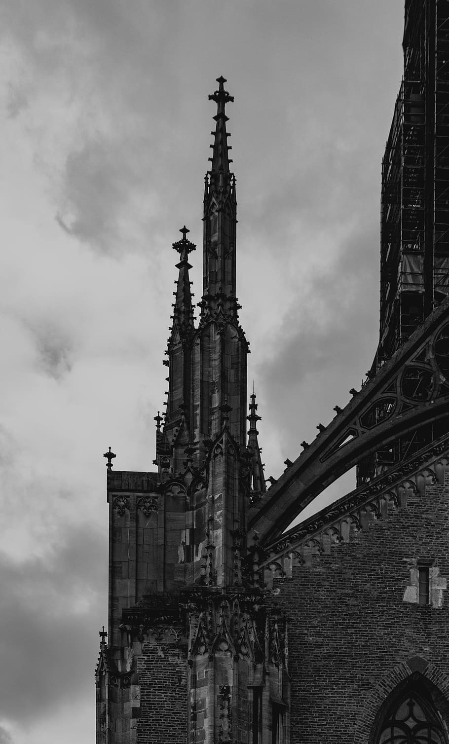 910x1508 Ulm, Münster 1080P, 2K, 4K, 5K HD wallpaper free download