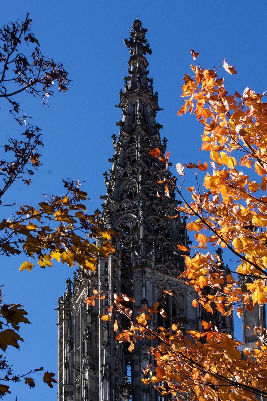 853x1280 Free Ulm Minster & Ulm Image