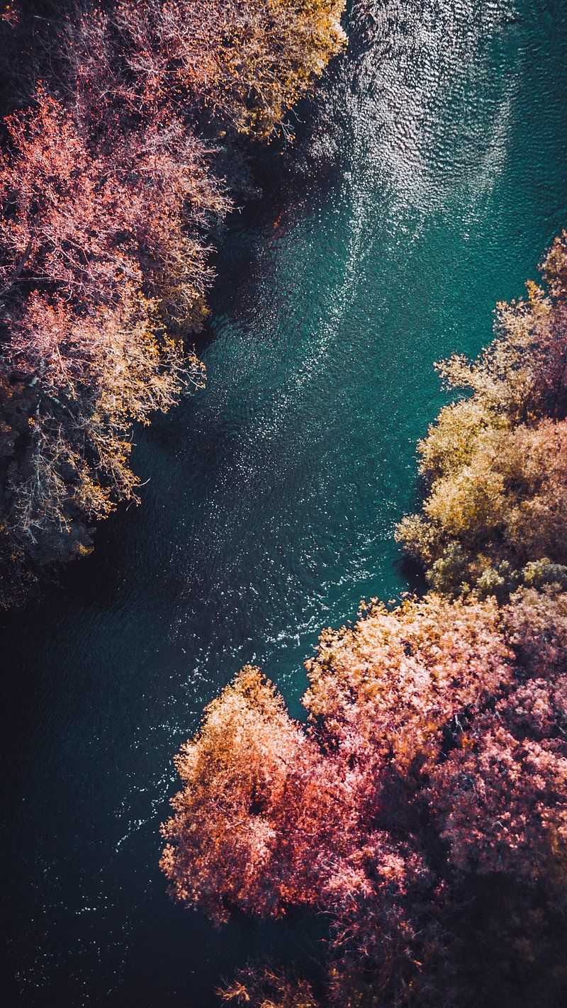 800x1422 iPhone Wallpaper Germany Image Wallpaper