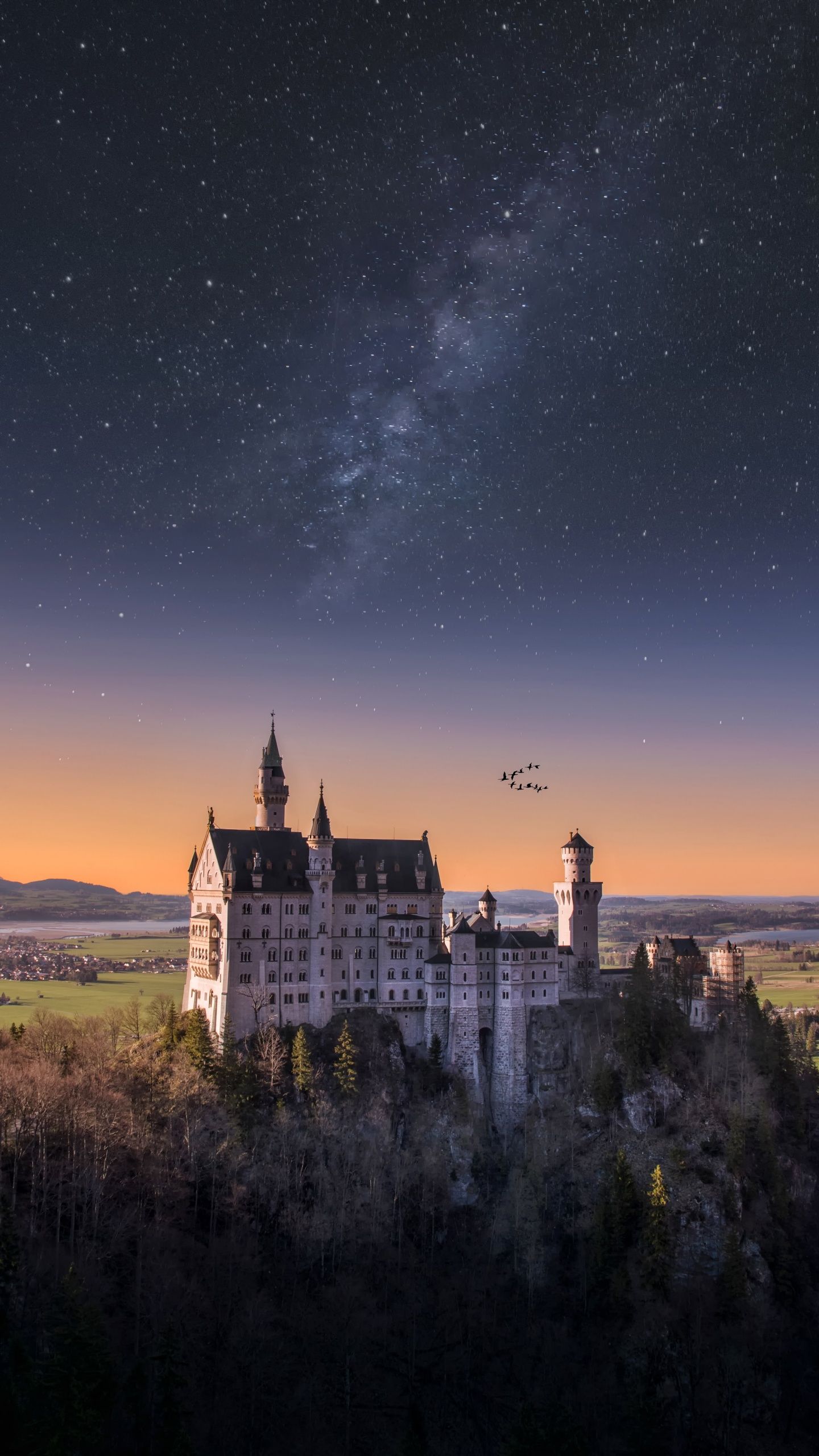 1440x2560 Neuschwanstein Castle Wallpaper 4K, 5K, Germany, Landscape