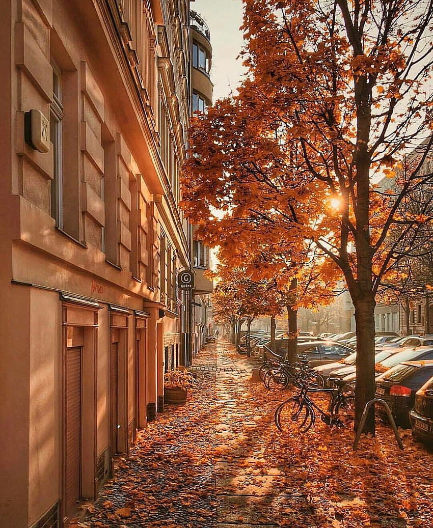 850x1037 Berlin, Germany, autumn berlin HD phone wallpaper