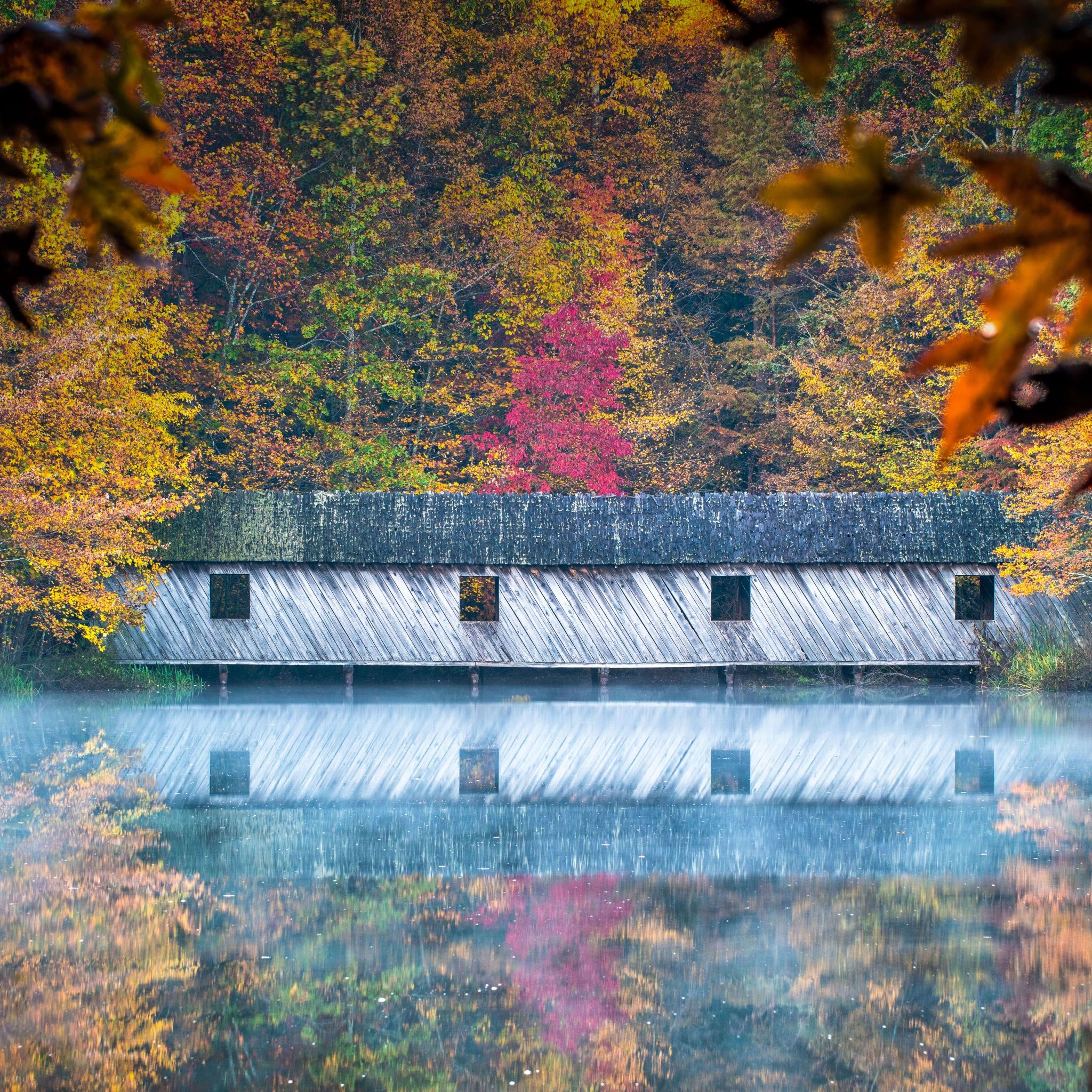 2048x2048 Cambron Covered Bridge Wallpaper 4K, Huntsville, Alabama