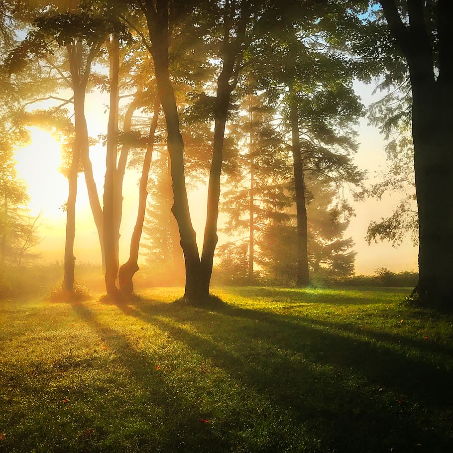 910x910 Huntsville 1080P, 2K, 4K, 5K HD wallpaper free download