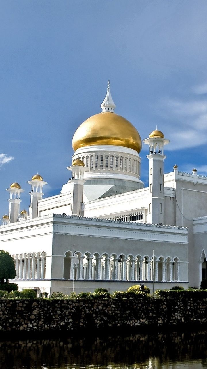 720x1280 Phone wallpaper: Mosques, Sultan Omar Ali Saifuddin Mosque, Mosque, Religious, Bandar Seri Begawan, Brunei, Building, Omar Ali Saifuddin, Palm Tree 340867