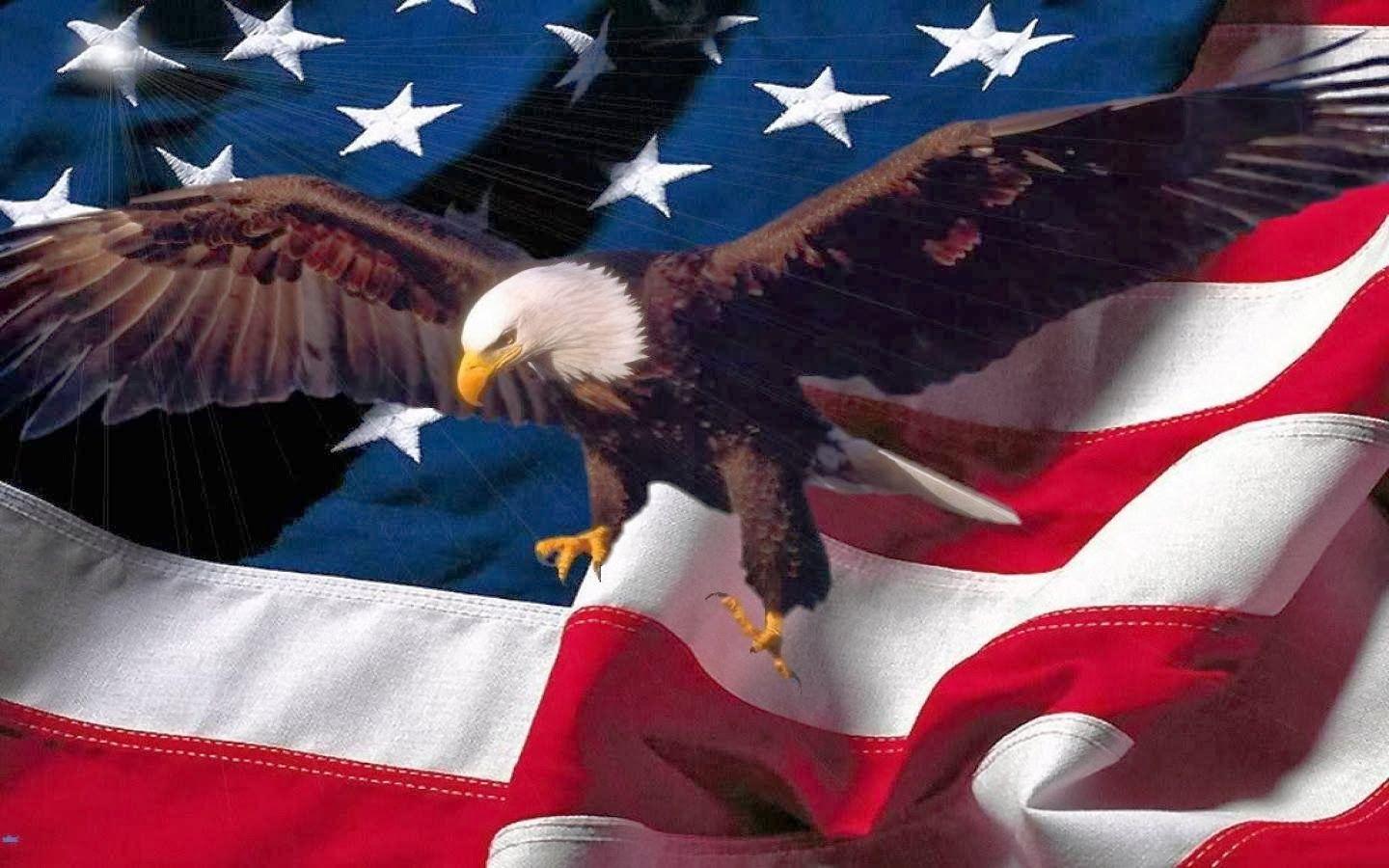 1440x900 Rules of the Jungle: Eagle Wallpaper for Free Download