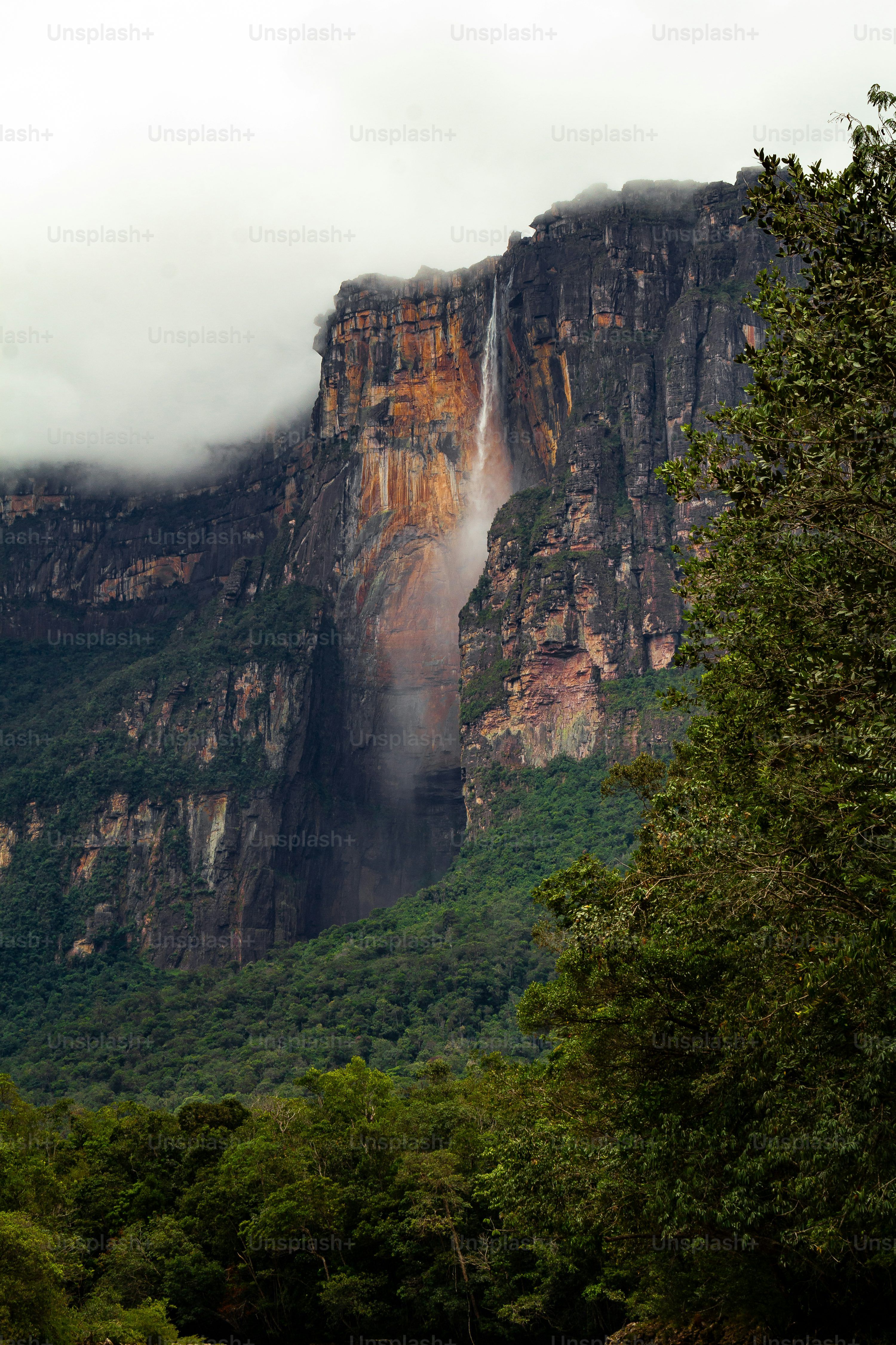 3000x4500 Stunning view of Angel Falls with cloudy moody sky. Highest waterfall in the world (979m) in Canaima National Park, Venezuela photo