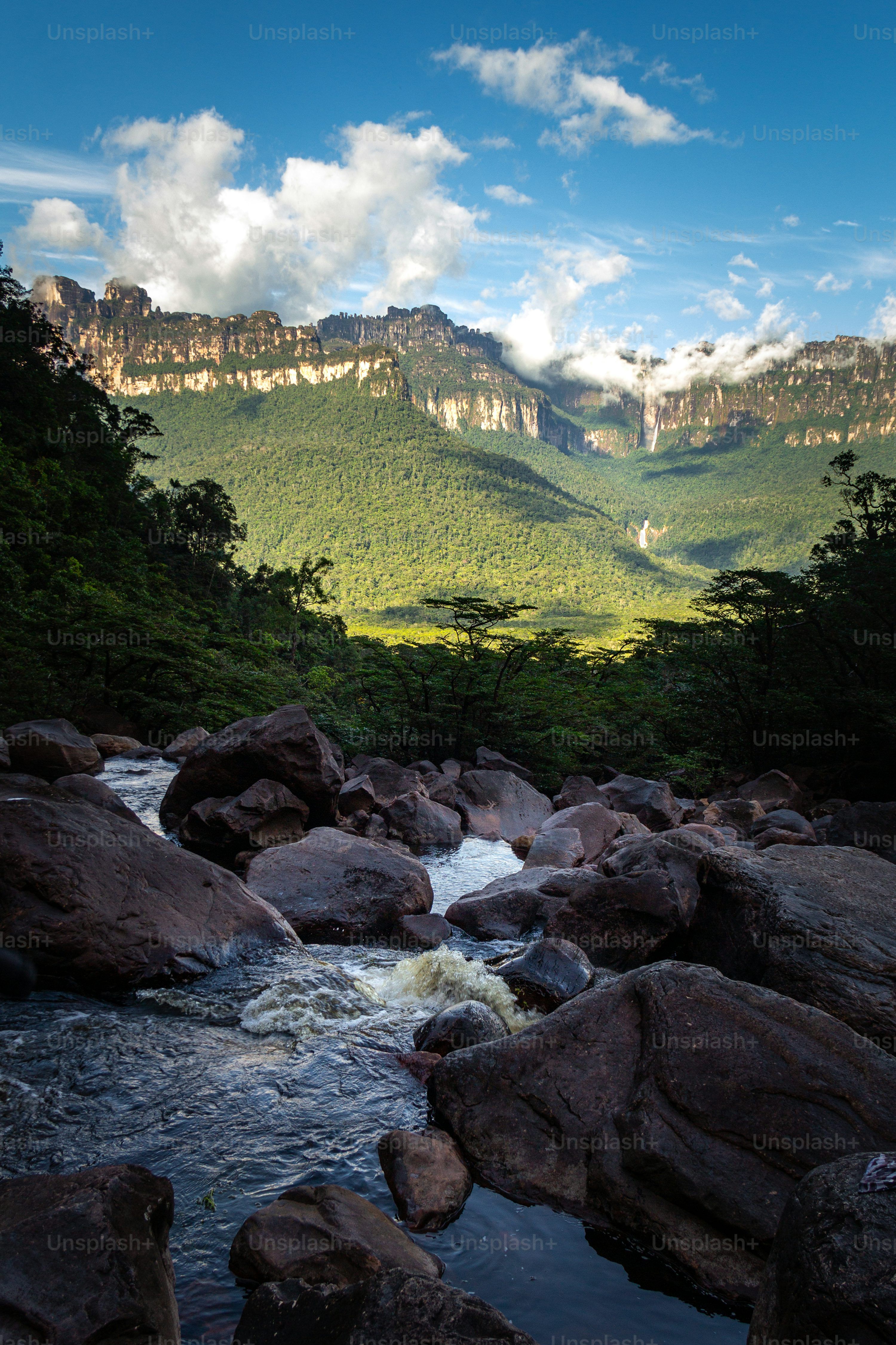 3000x4500 Beautiful view of Churun river in front of the Angel Falls in Auyantepuy, at cloudy sunny day with blue sky, Canaima National Park, Venezuela photo