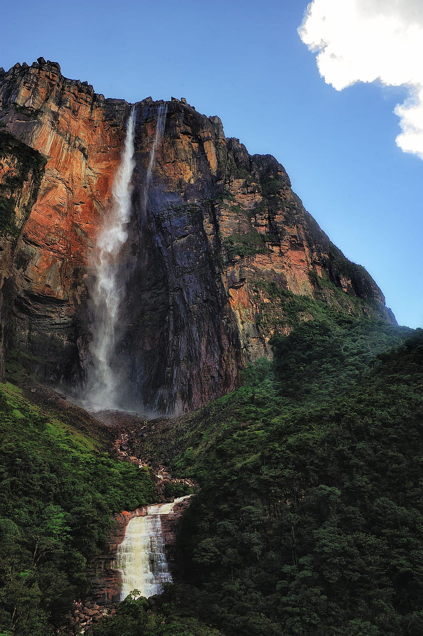 850x1277 Angel Falls [Salto Angel], in Canaima National Park of the state of HD phone wallpaper