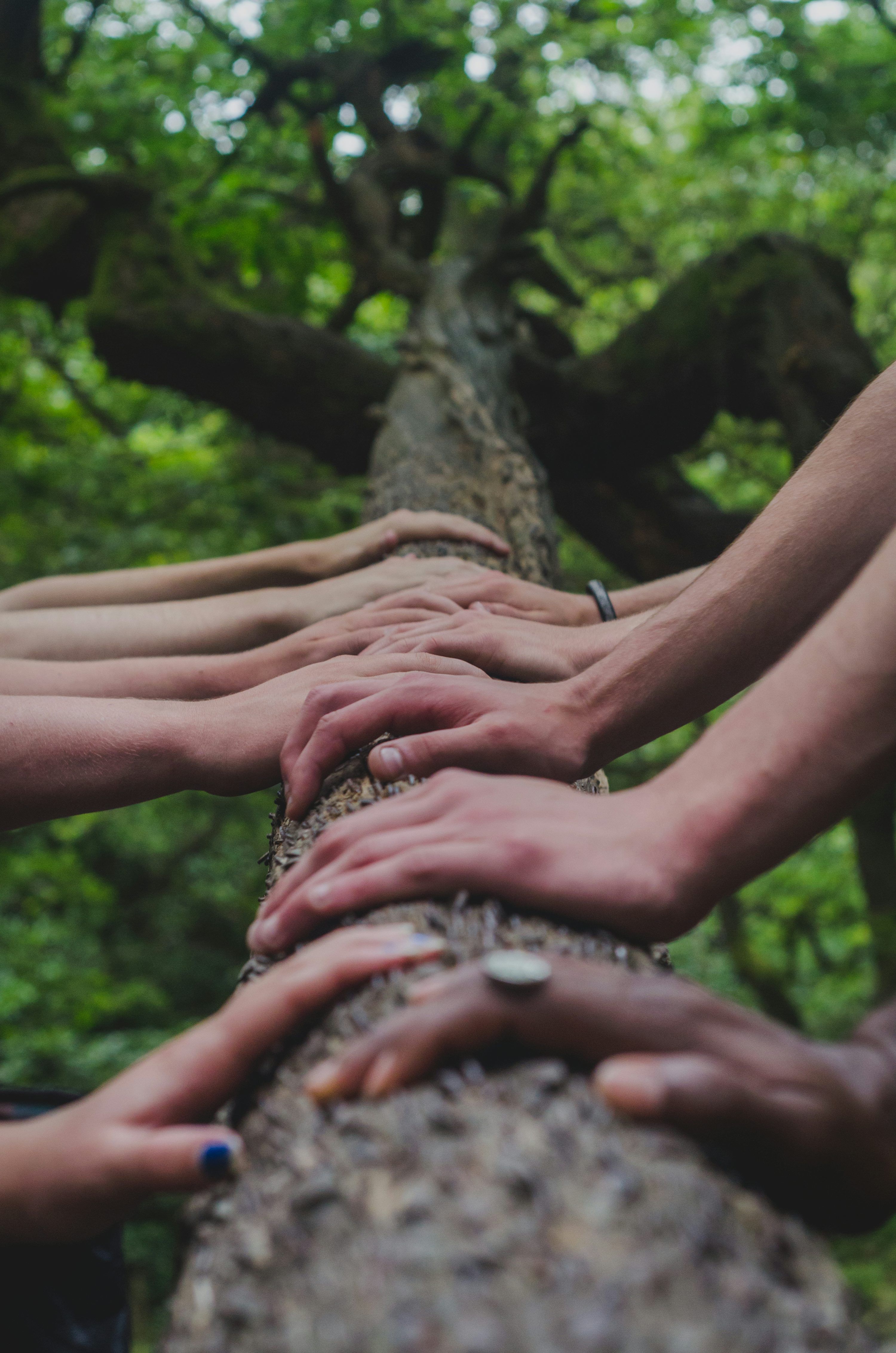 3000x4529 Community Work Picture. Download Free Image