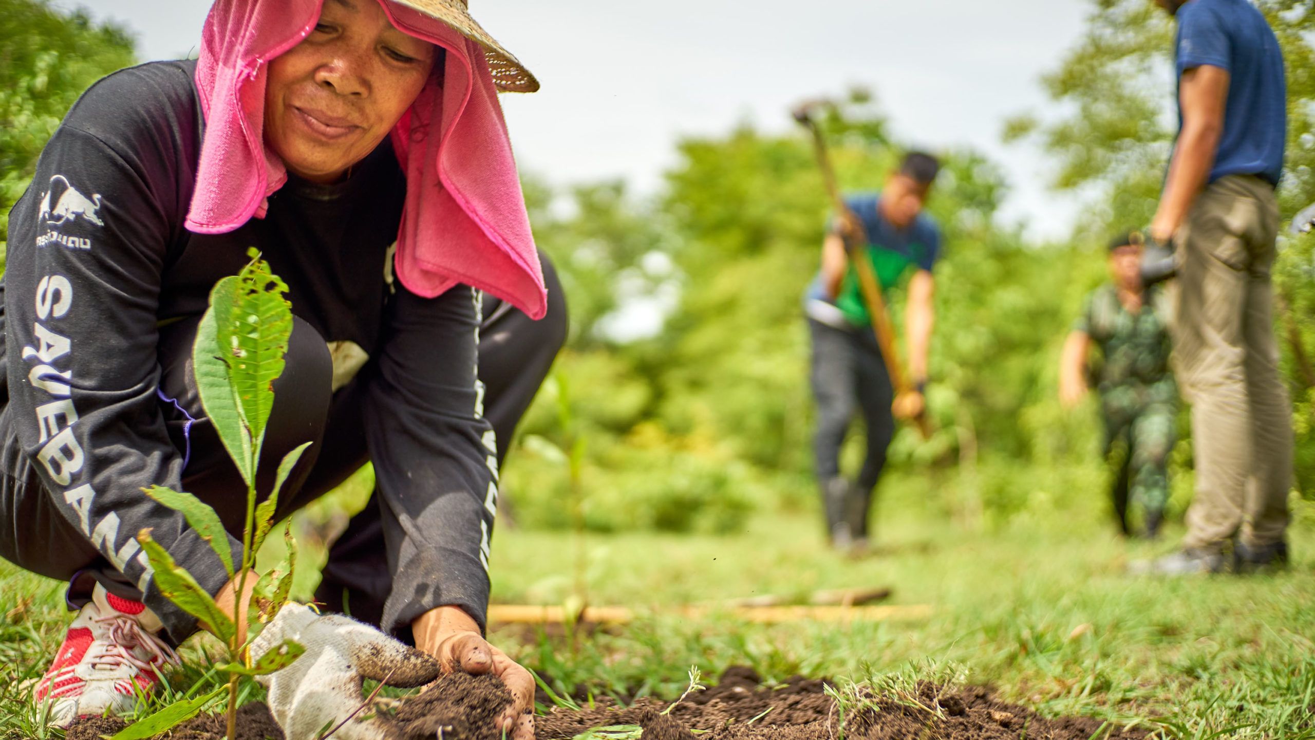2560x1440 community service projects feature