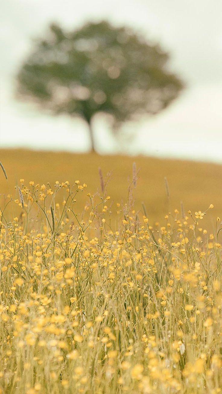736x1308 Relaxing Nature iPhone Xs Wallpaper