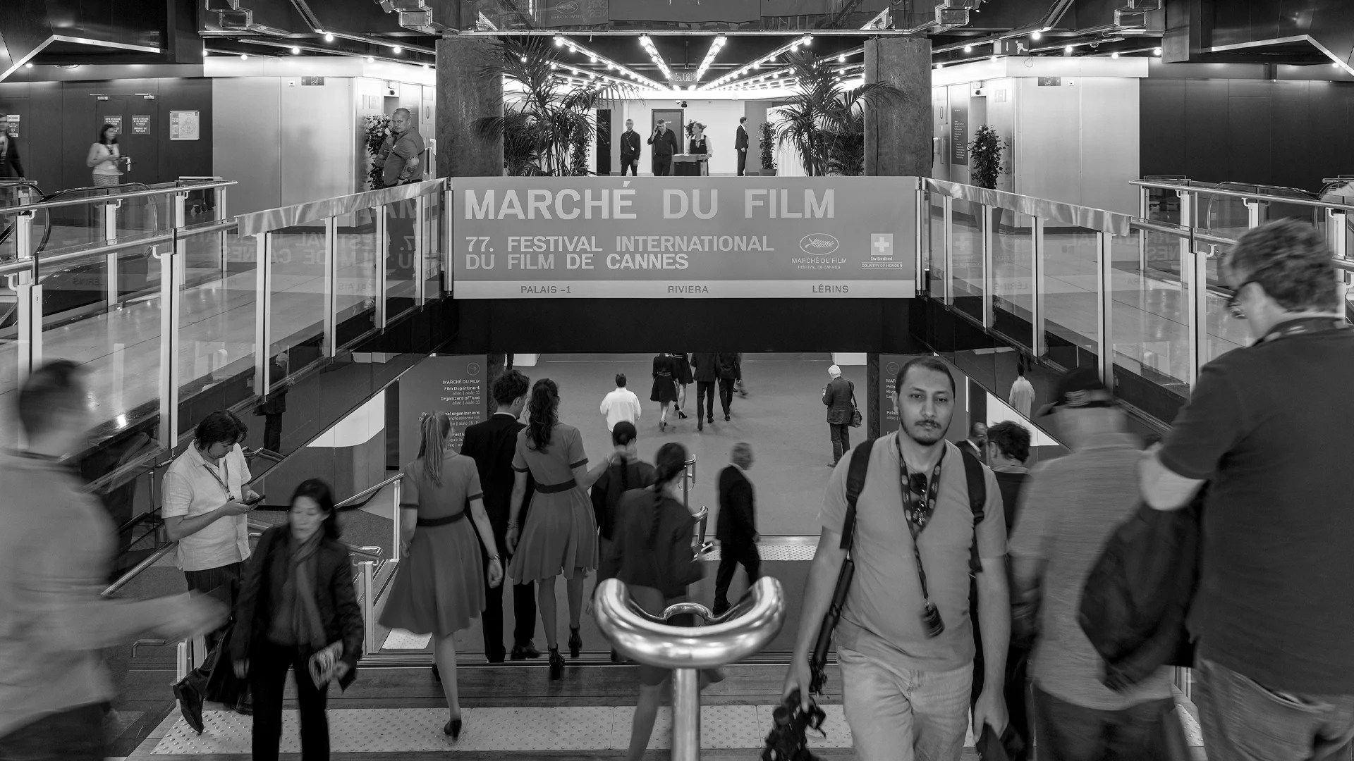 1920x1080 Cannes 2025: Celebrating the World's Greatest Film Festival