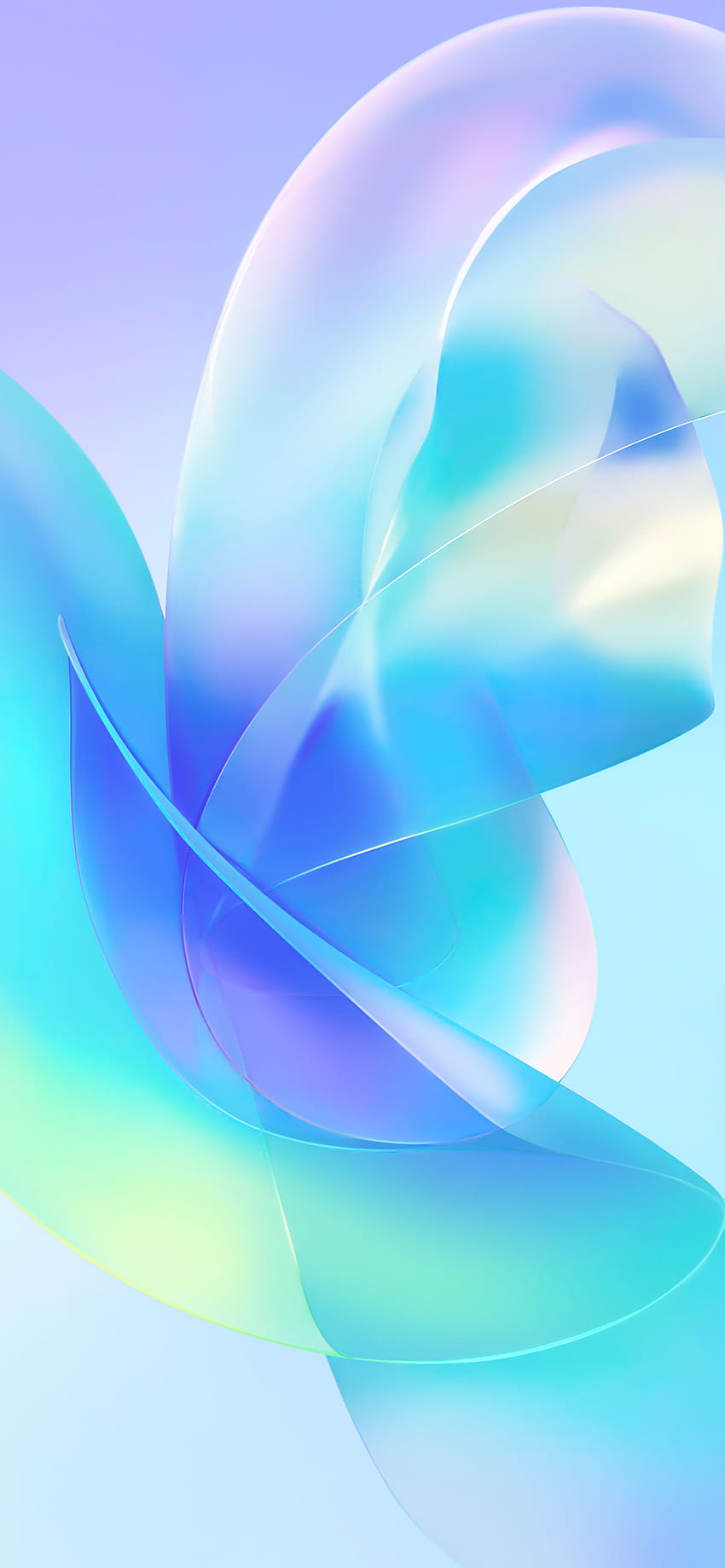 850x1839 Honor 60 Pro HD phone wallpaper
