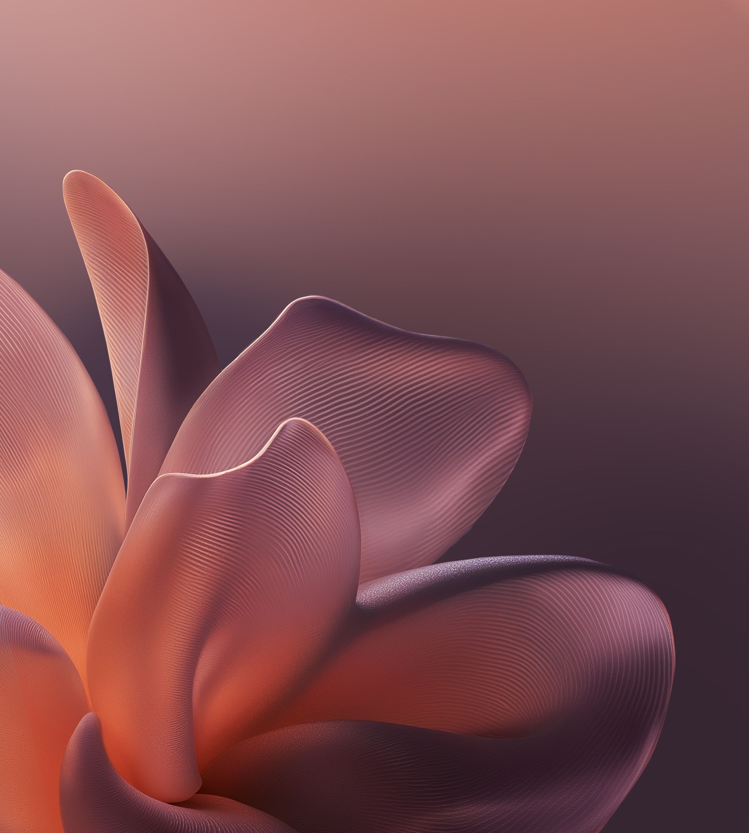 2440x2712 Motorola Edge 60 Wallpaper and Background