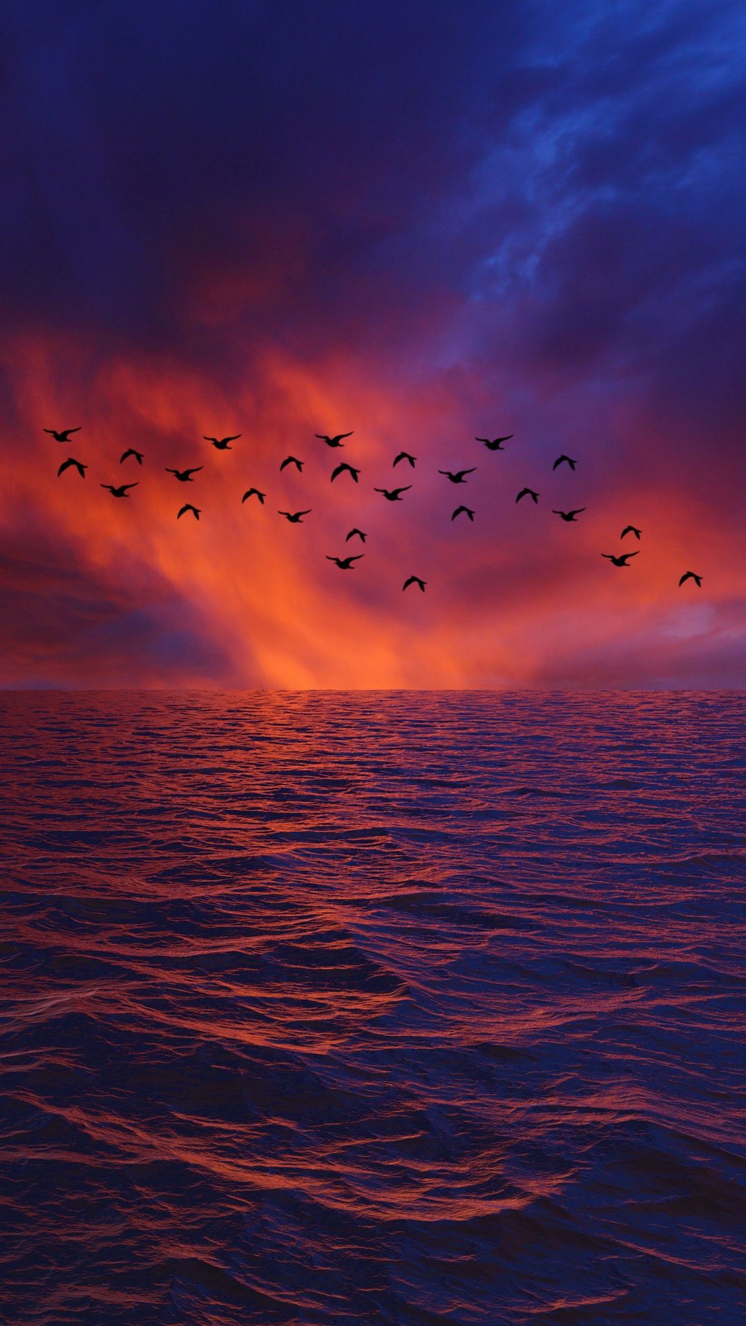 1080x1920 Huawei Mate 60 Pro Wallpaper