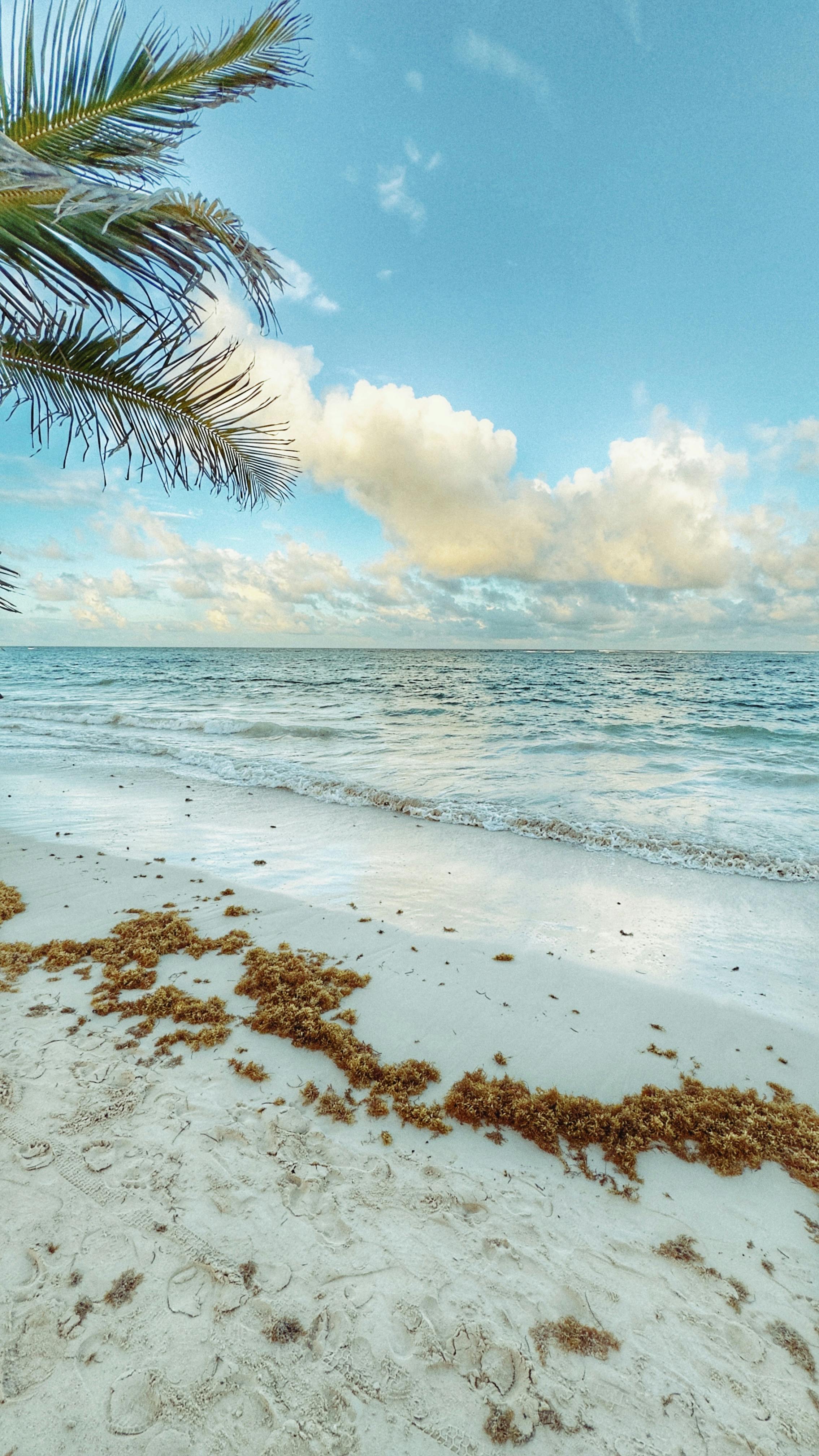 2268x4032 Sunny Beach in Punta Cana, Dominican Republic · Free