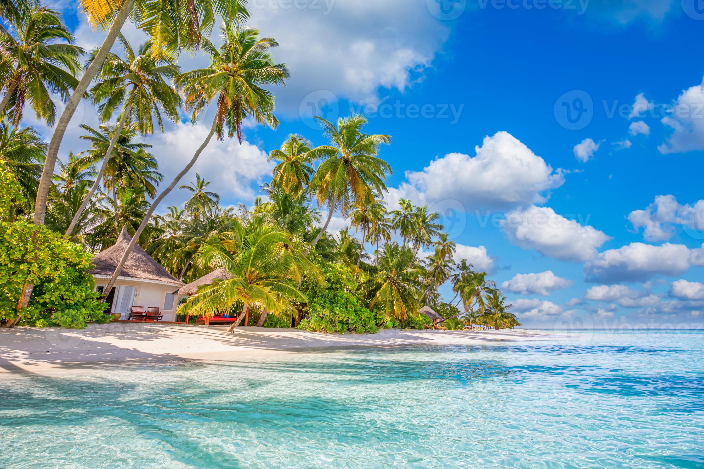 2940x1960 Beautiful tropical beach, calm turquoise sea lagoon white sand, palm trees, against blue sky with clouds on sunny summer day. Perfect landscape background for relaxing vacation, island of Maldives. 8159493