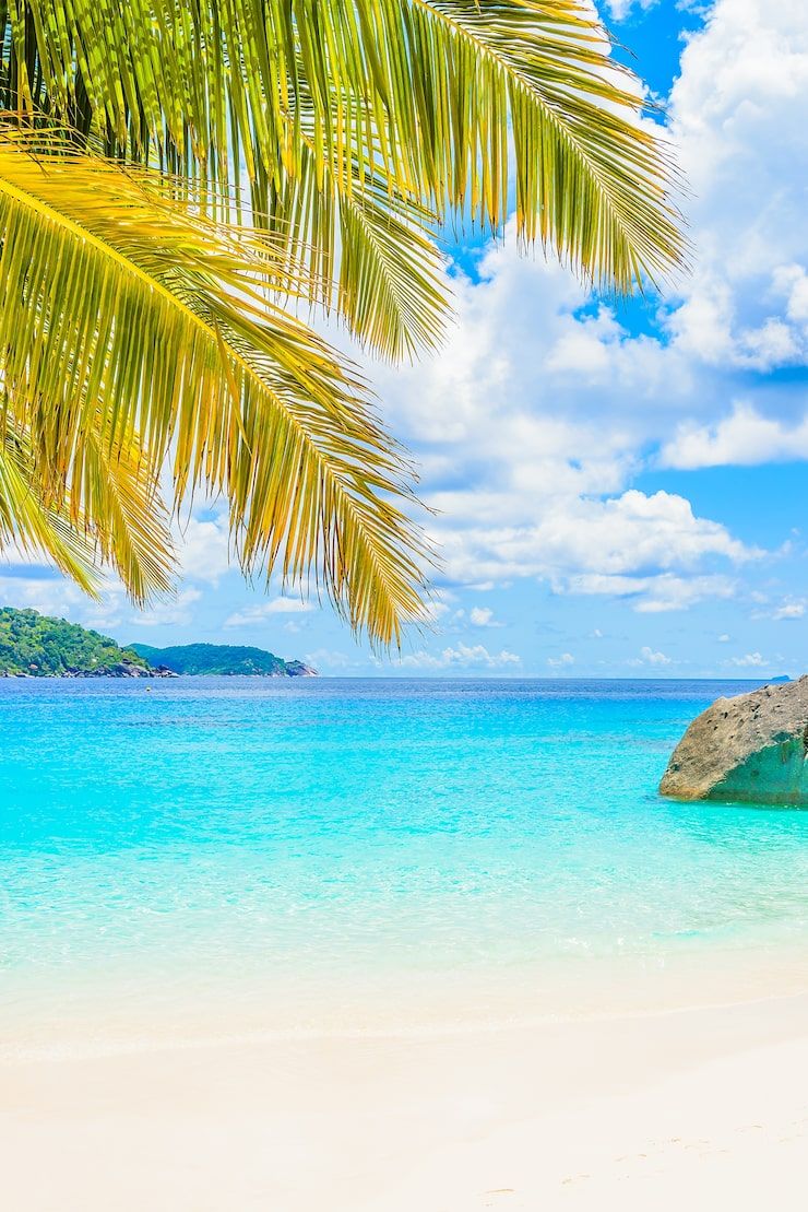 740x1109 Sunny beach wallpaper Image