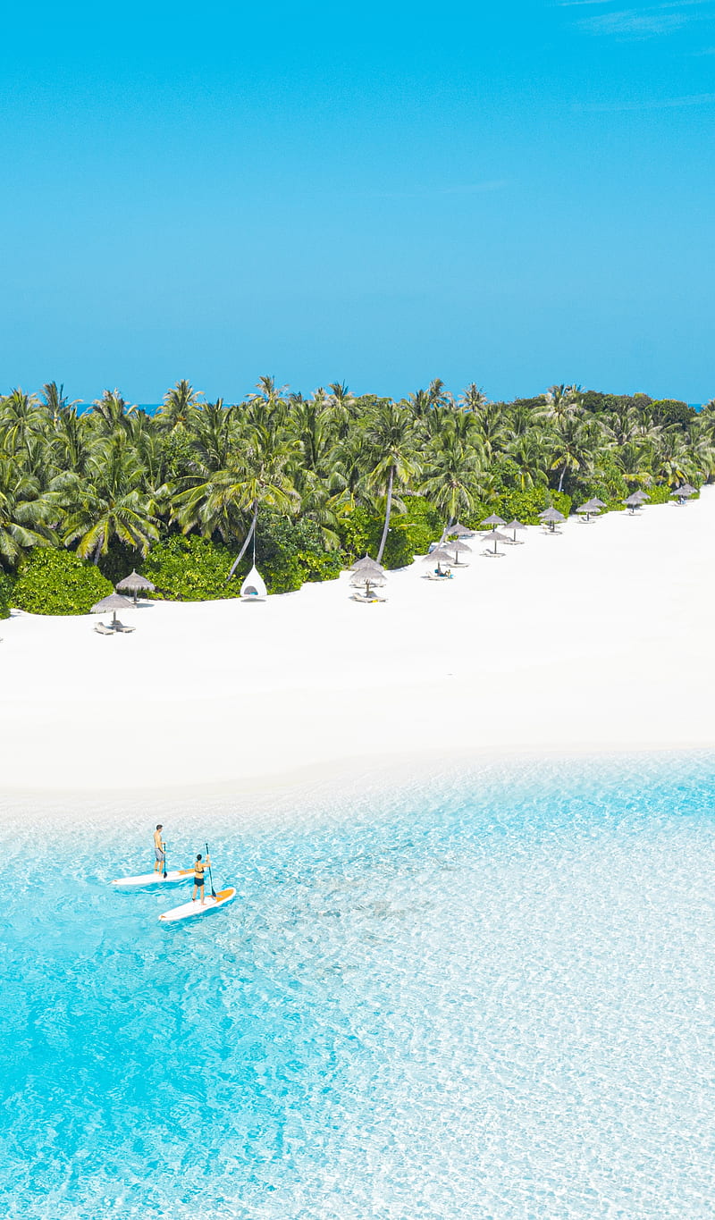 800x1365 Sunny Day at the Beach, , clear water, lagoon, landscape, maldives, paddble board, HD phone wallpaper