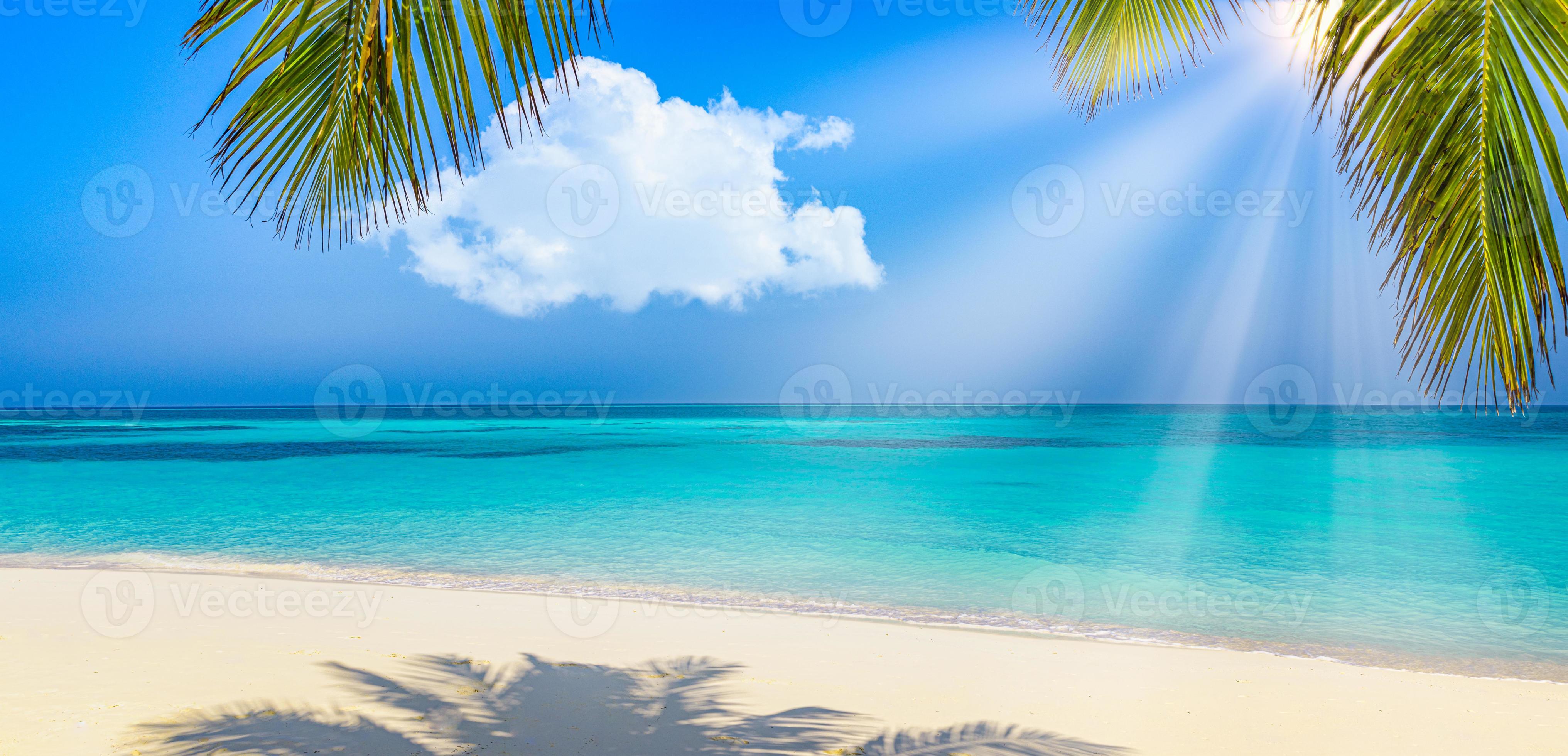 4065x1960 Panoramic landscape view of white beach sand sea water and blue sky clear background. Tropical paradise banner, closeup palm leaves. Summer travel background, wallpaper panorama. Sunny beach scene 11108746