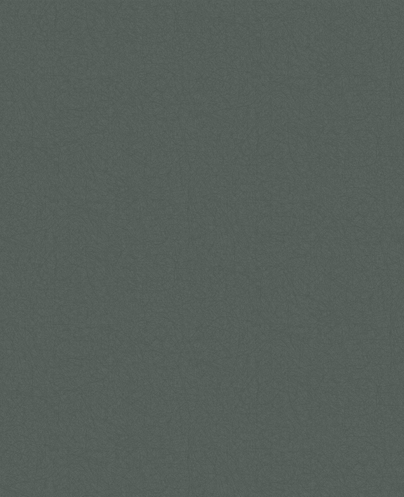 1305x1606 Luxury Sage Plain Wallpaper. Green. Graham & Brown