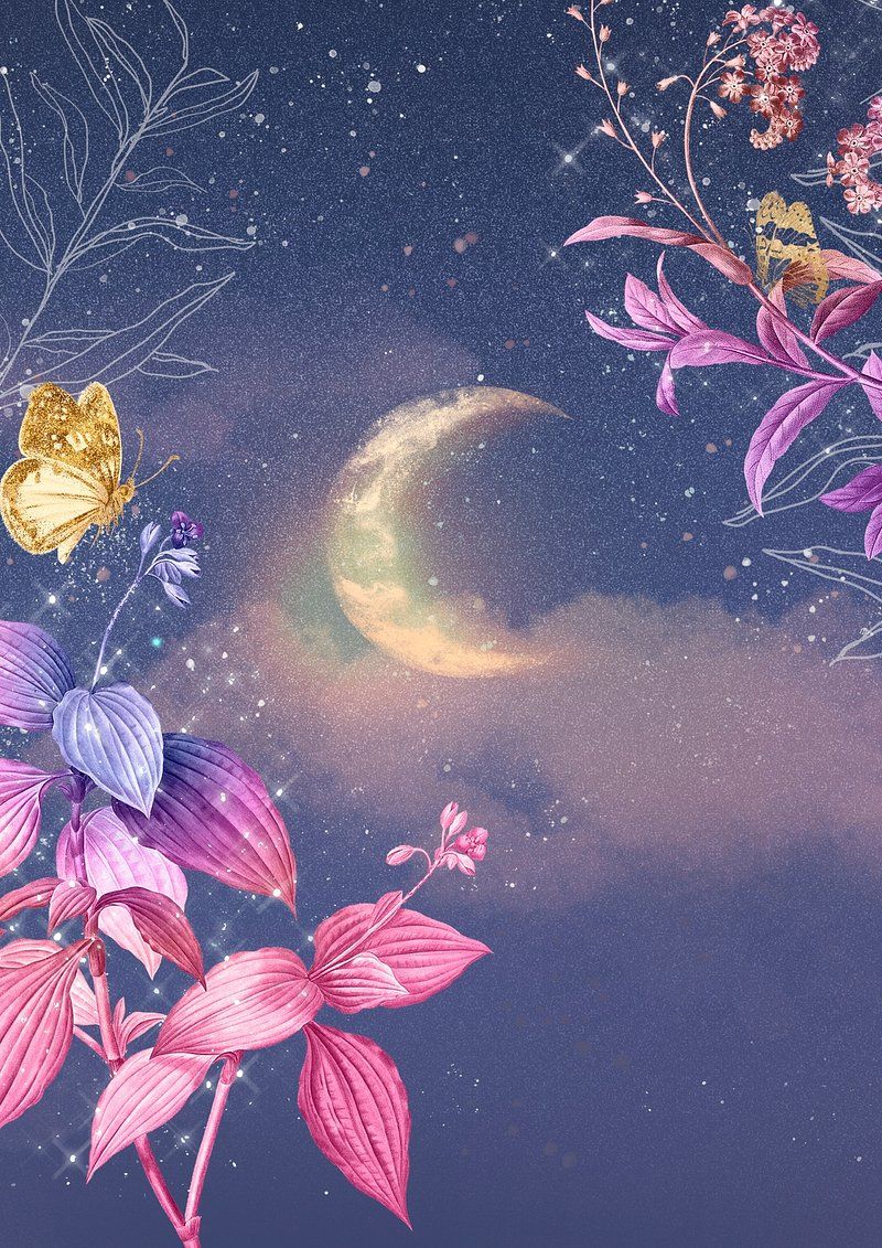 800x1131 Moon Flower Image Wallpaper